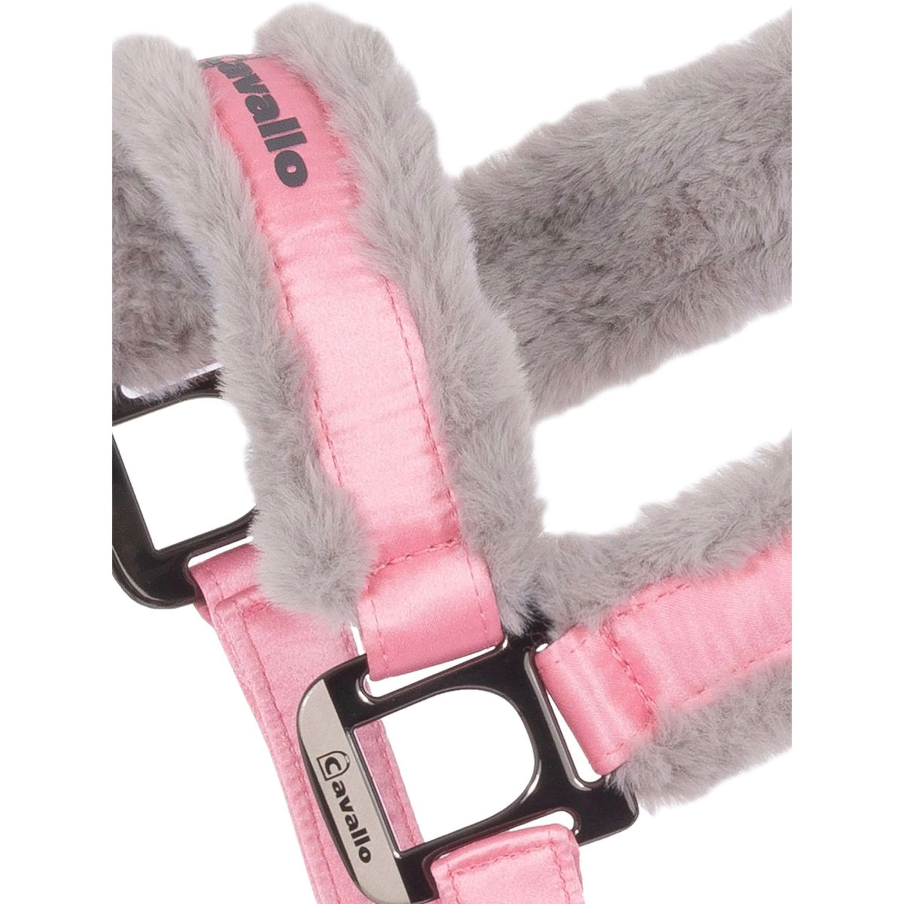 Cavallo Halfter CavalJero Powder Pink - Image 2