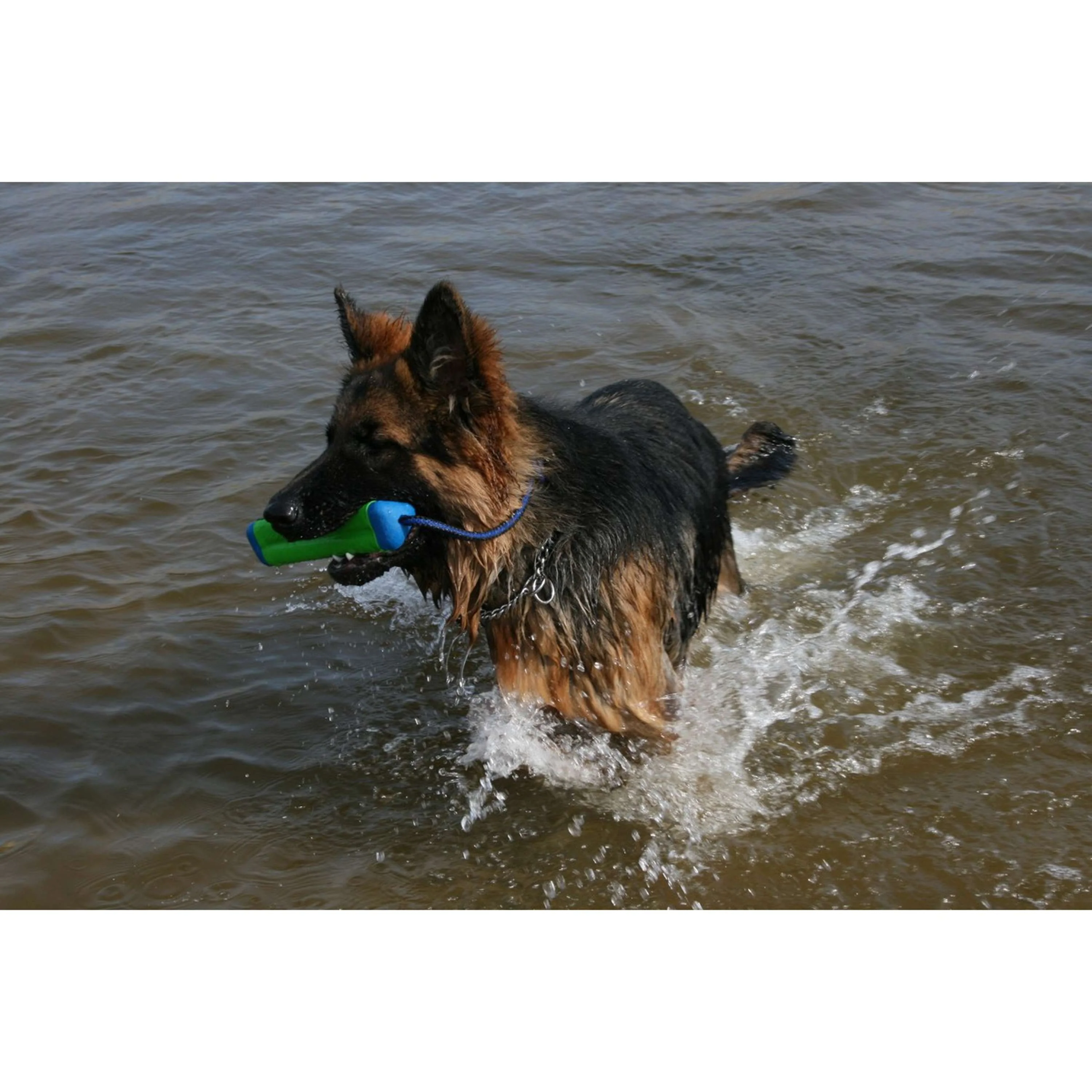 Chuckit Amphibious Bumper - Image 3
