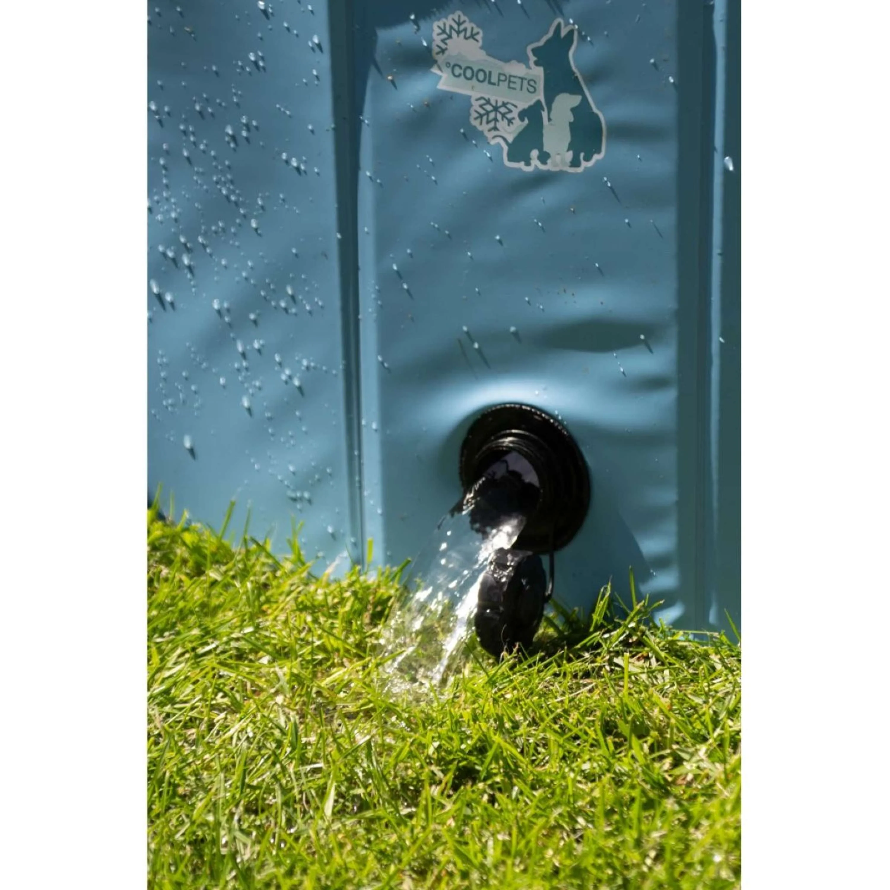 Coolpets Schwimmbad - Image 5