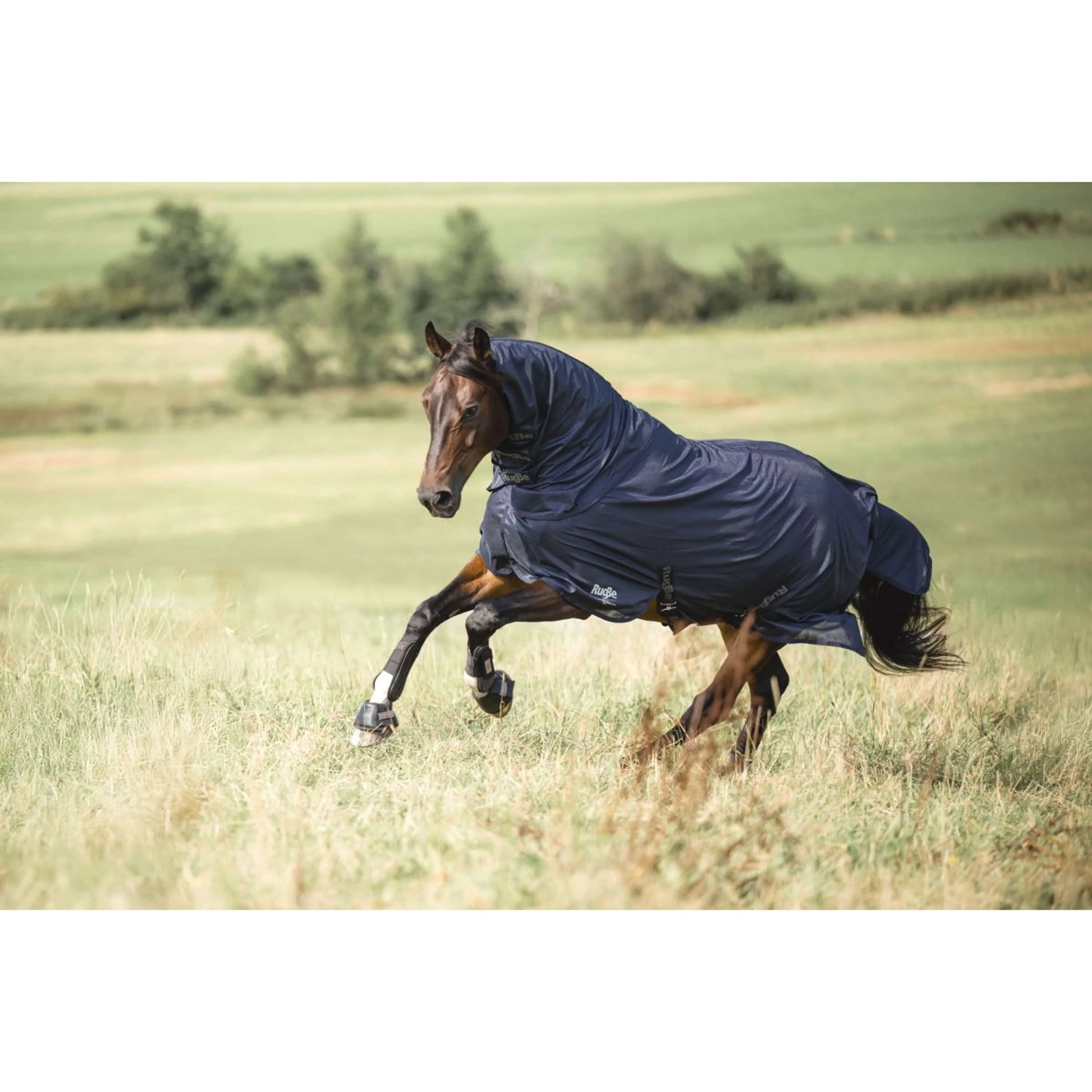 Covalliero Fliegendecke RugBe SuperFly Navy - Image 5
