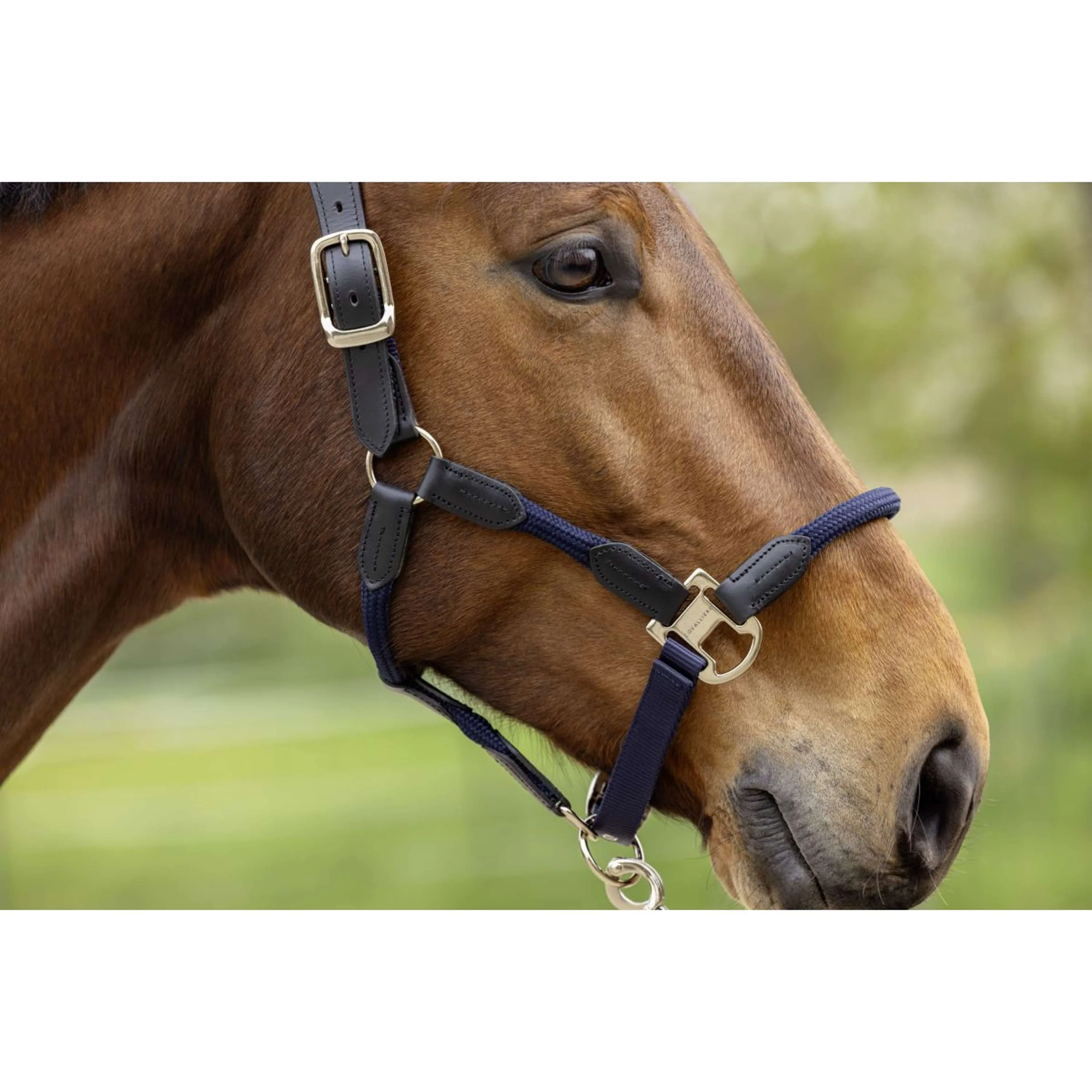 Covalliero Halfter SS26 Dunkle Navy - Image 3