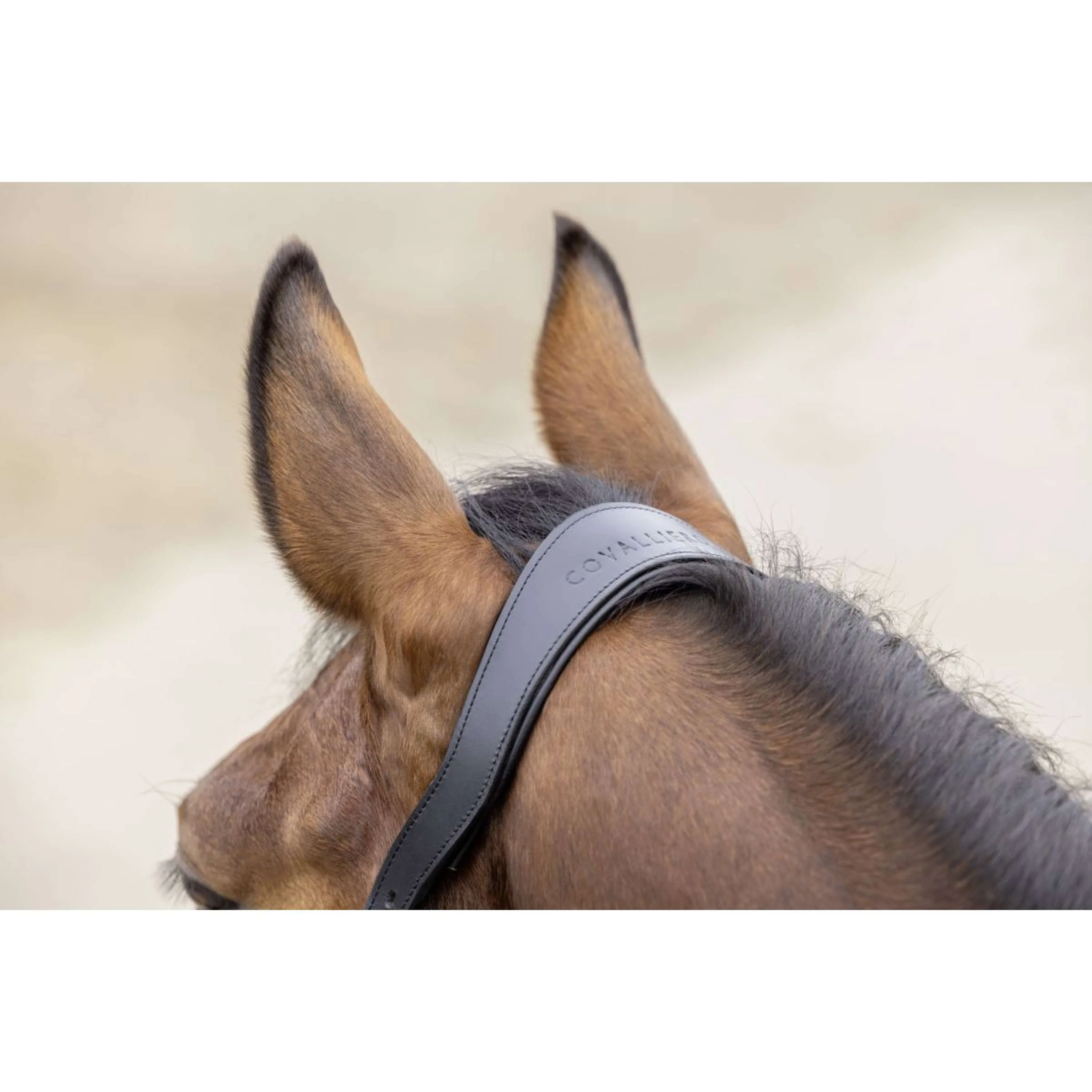 Covalliero Halfter SS26 Dunkle Navy - Image 4