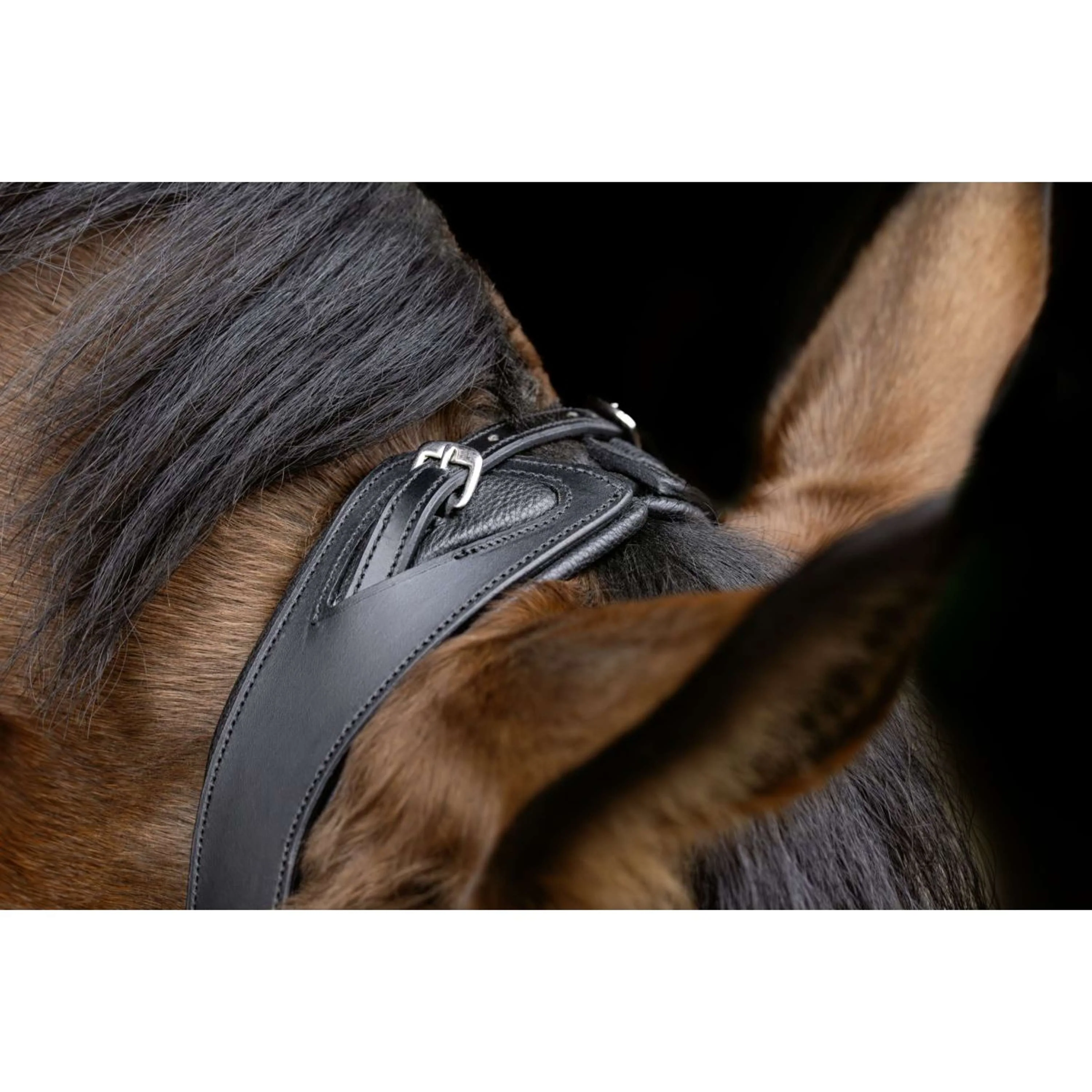 Covalliero Zaum Anatomic Schwarz - Image 3