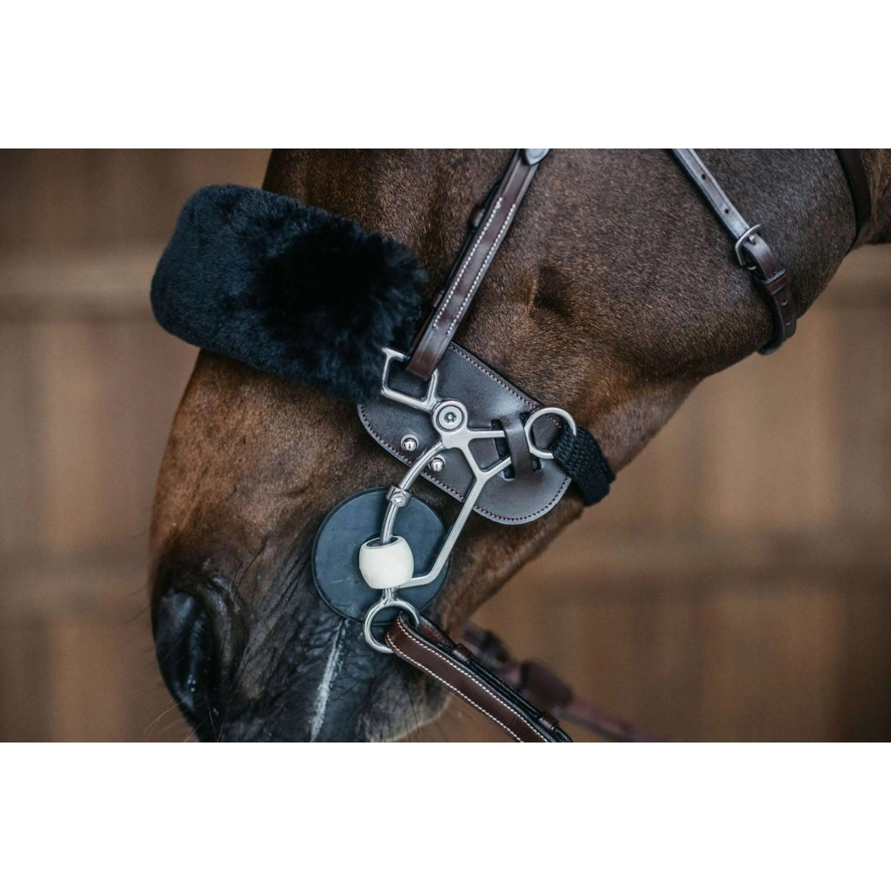 Dyon Hackamore-Schutz Braun - Image 2