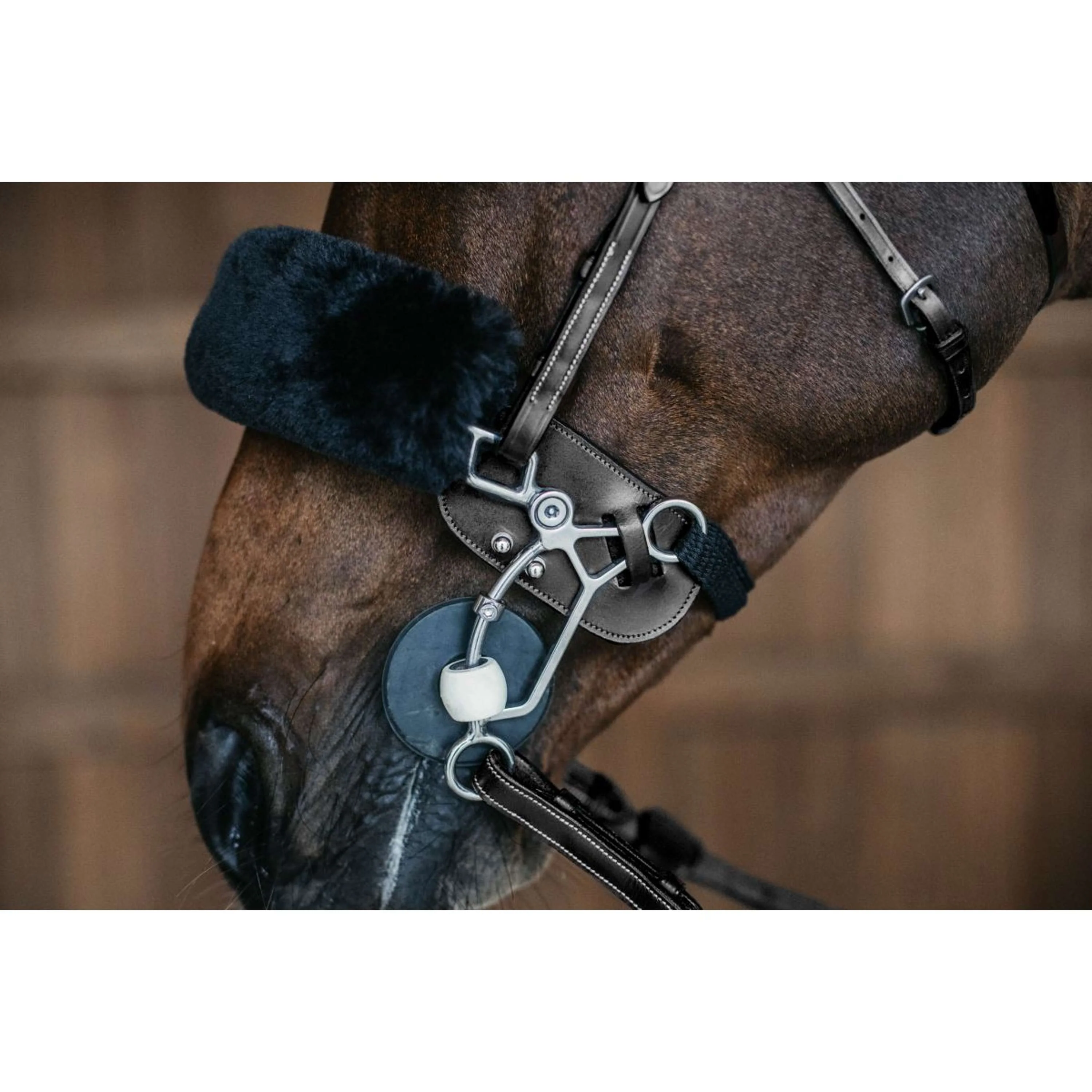 Dyon Hackamore-Schutz Schwarz - Image 2