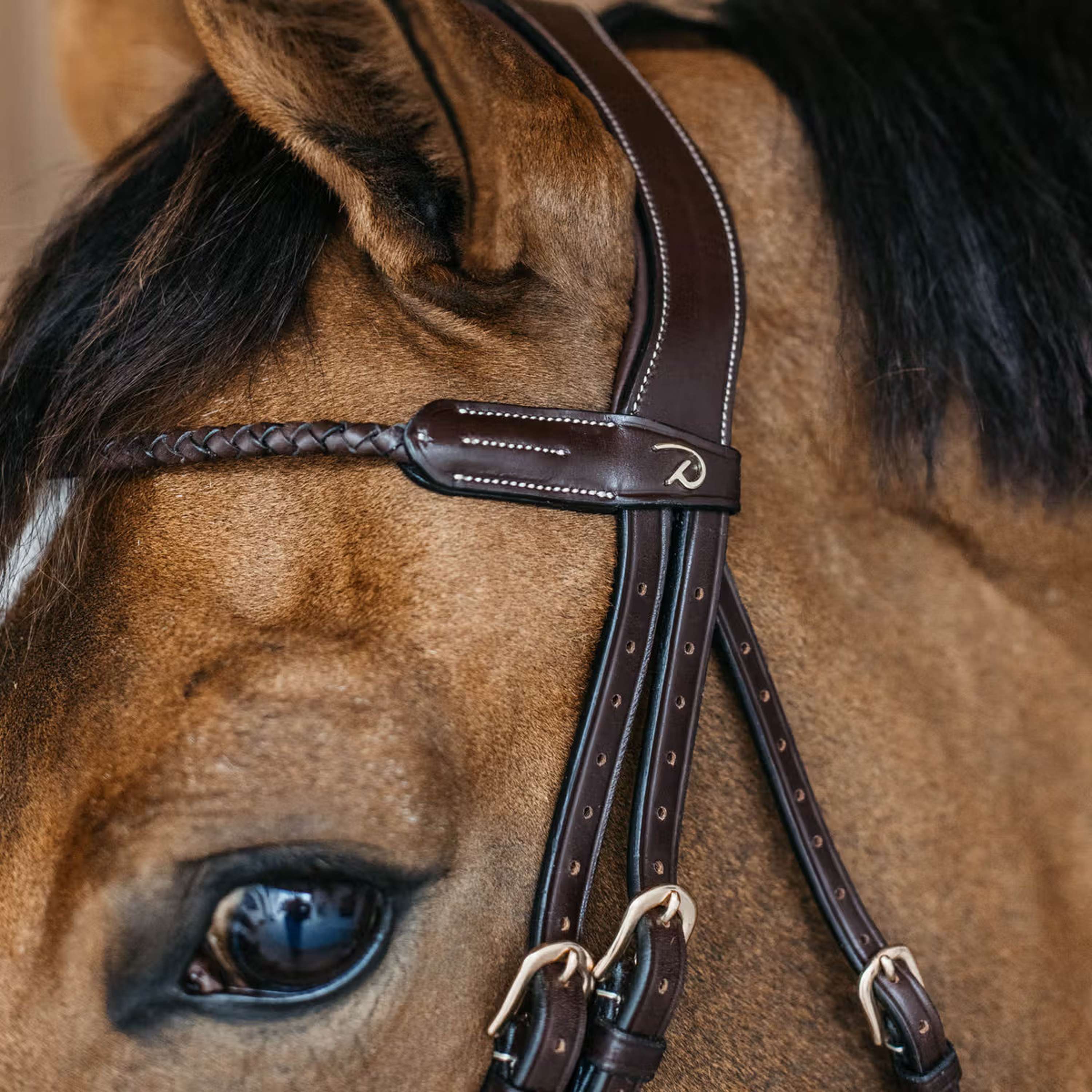 Dyon Stirnriemen Braided Braun - Image 2