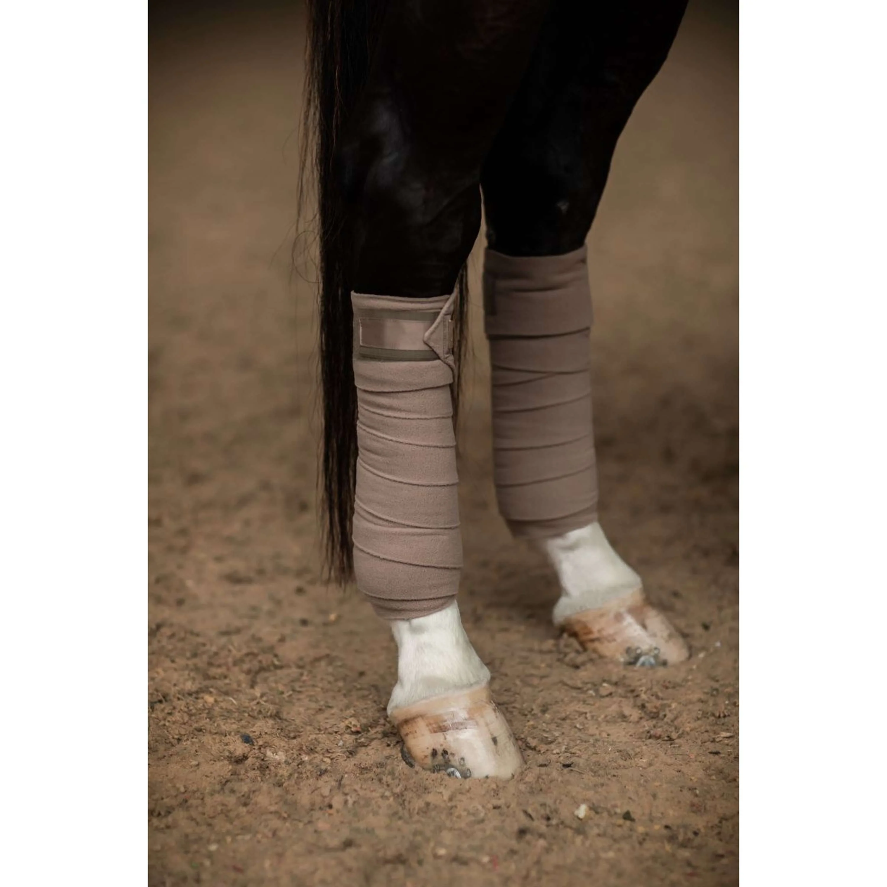 Equestrian Stockholm Bandagen Champagne - Image 2