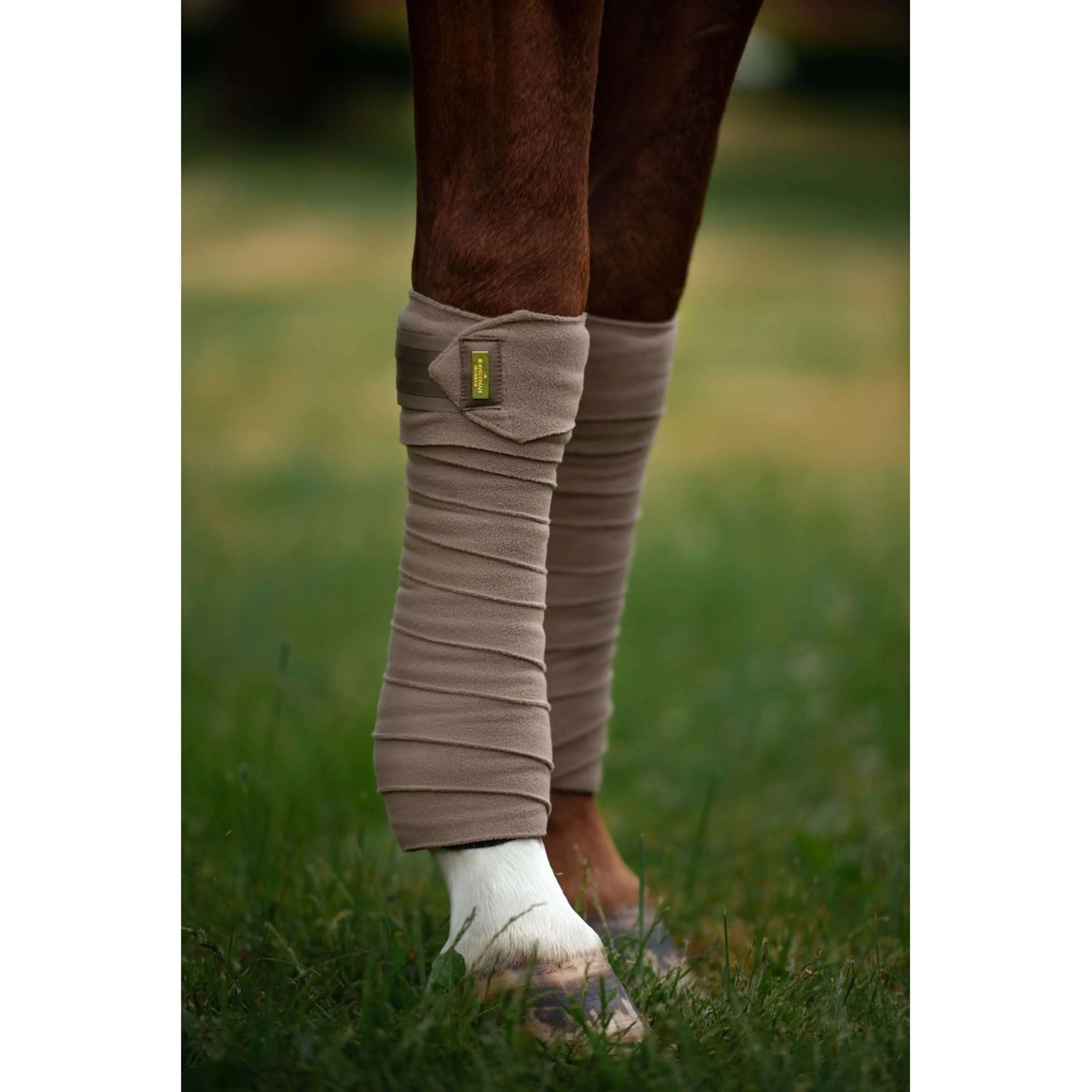 Equestrian Stockholm Bandagen Champagne - Image 6