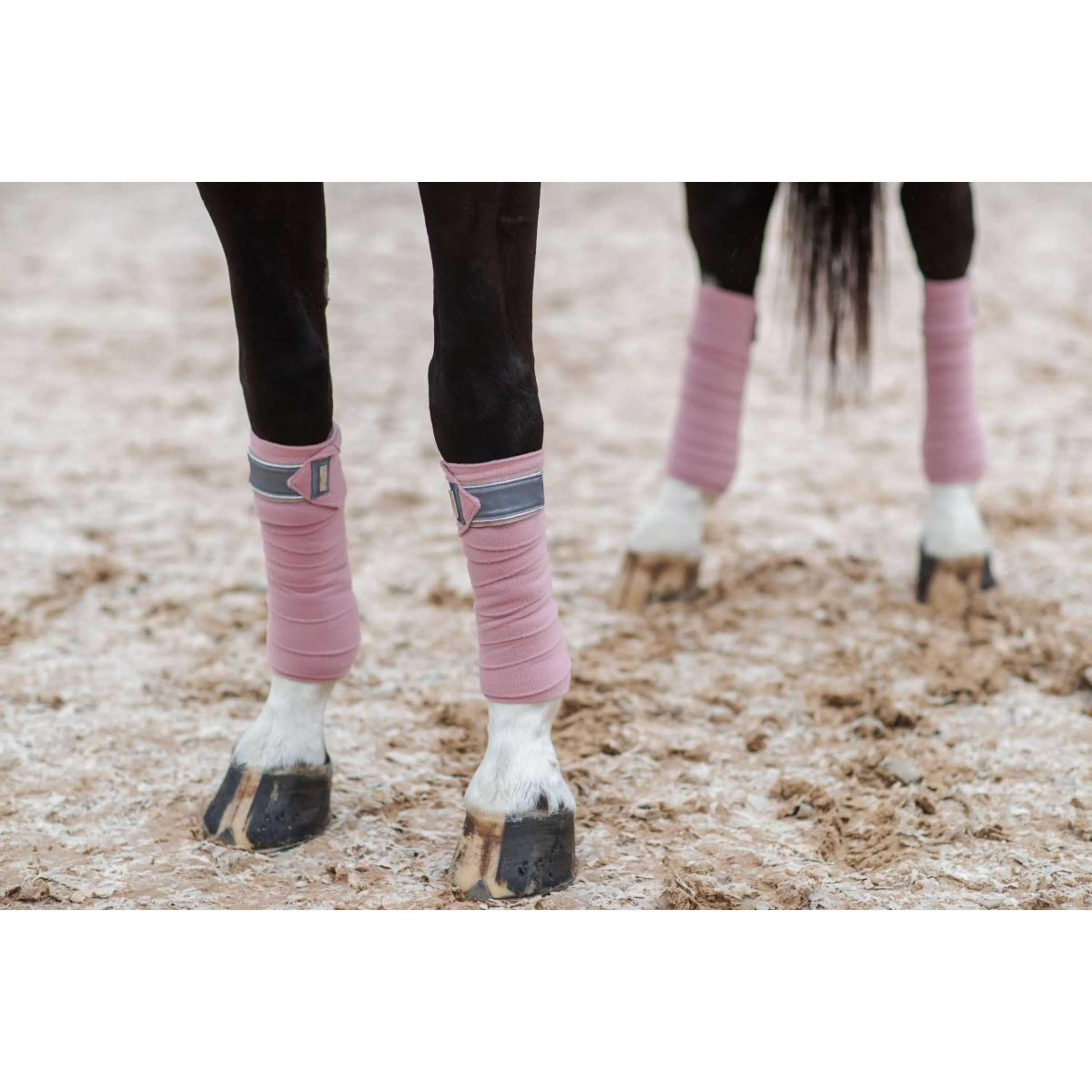 Equestrian Stockholm Bandagen Rosa - Image 6
