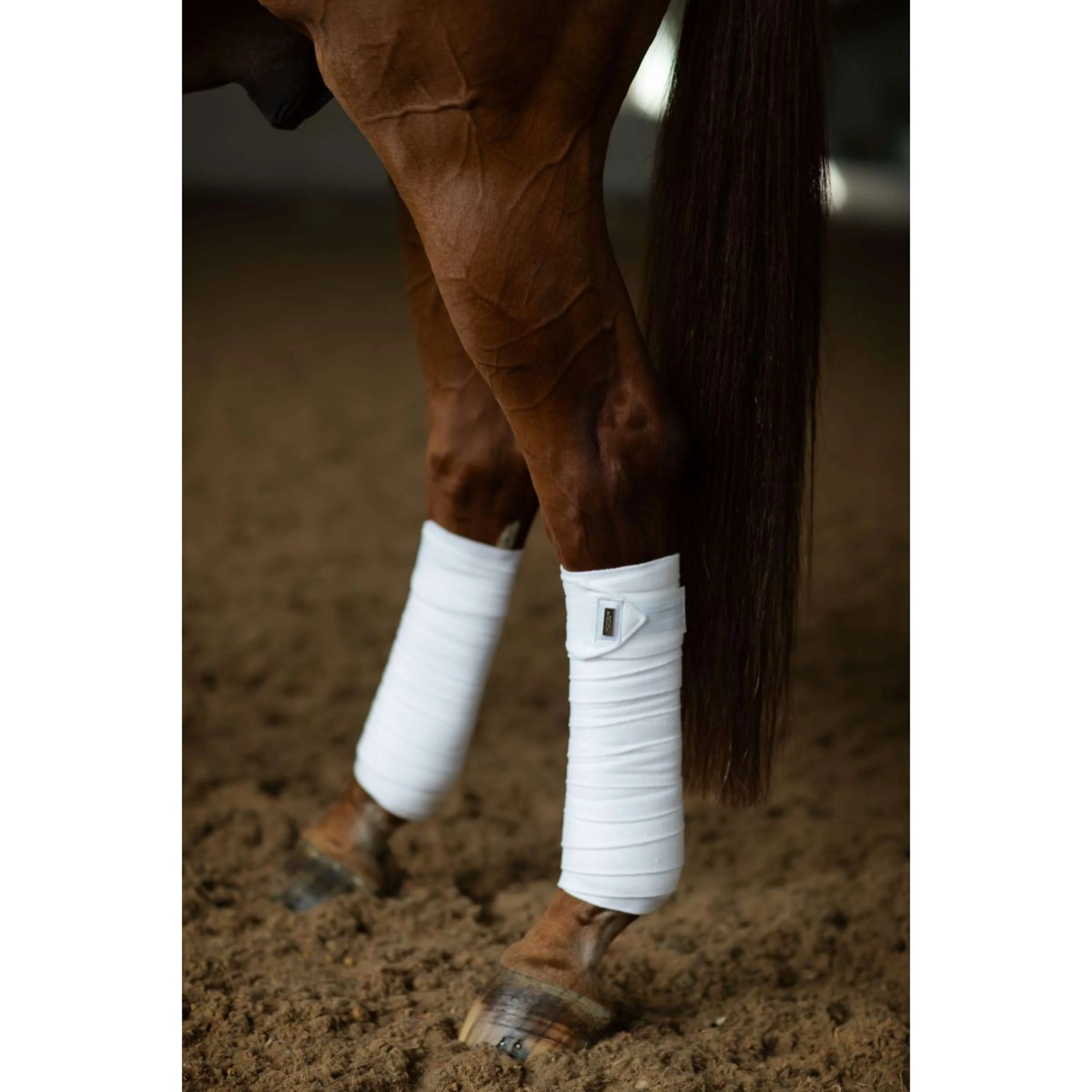 Equestrian Stockholm Bandagen White Silver - Image 2