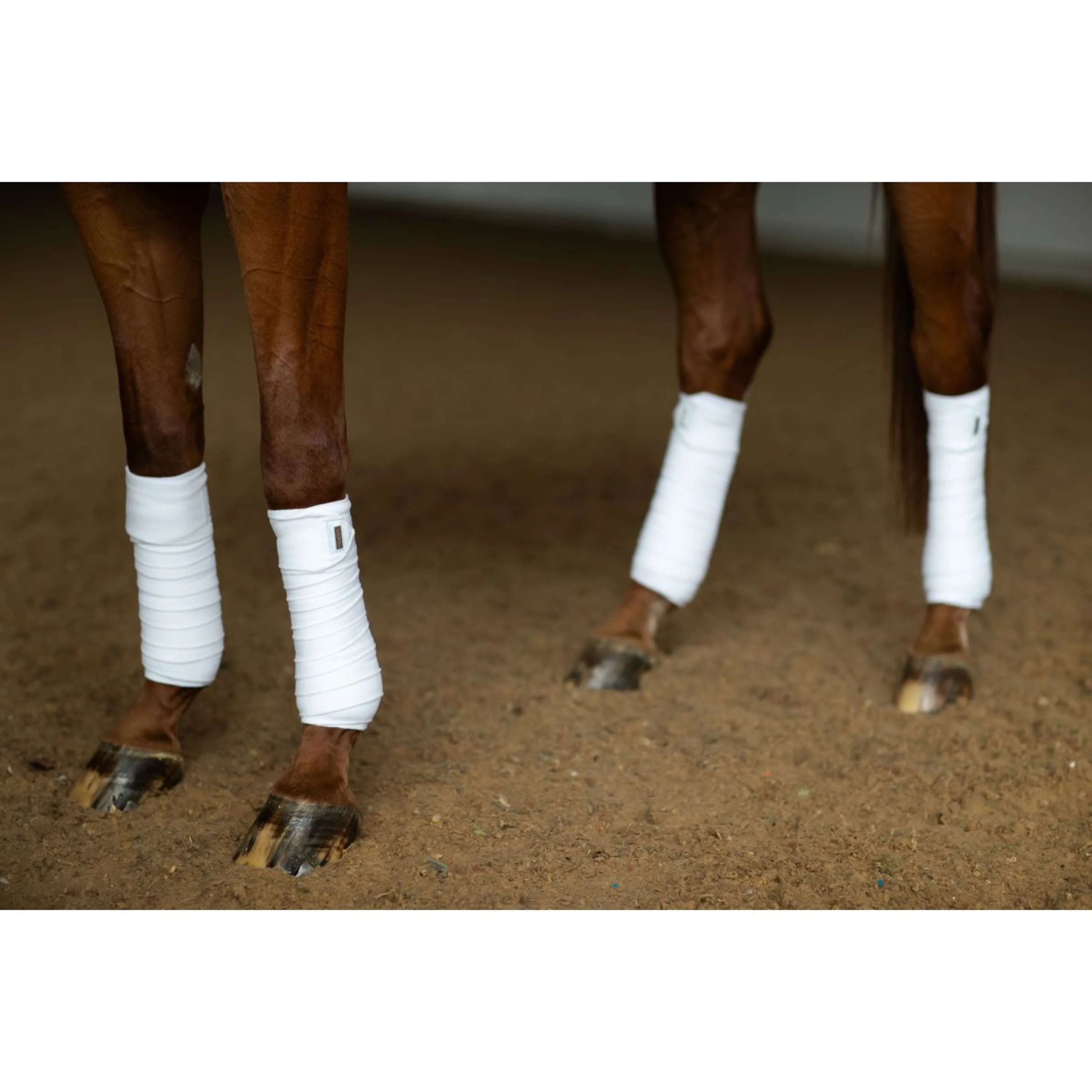 Equestrian Stockholm Bandagen White Silver - Image 3