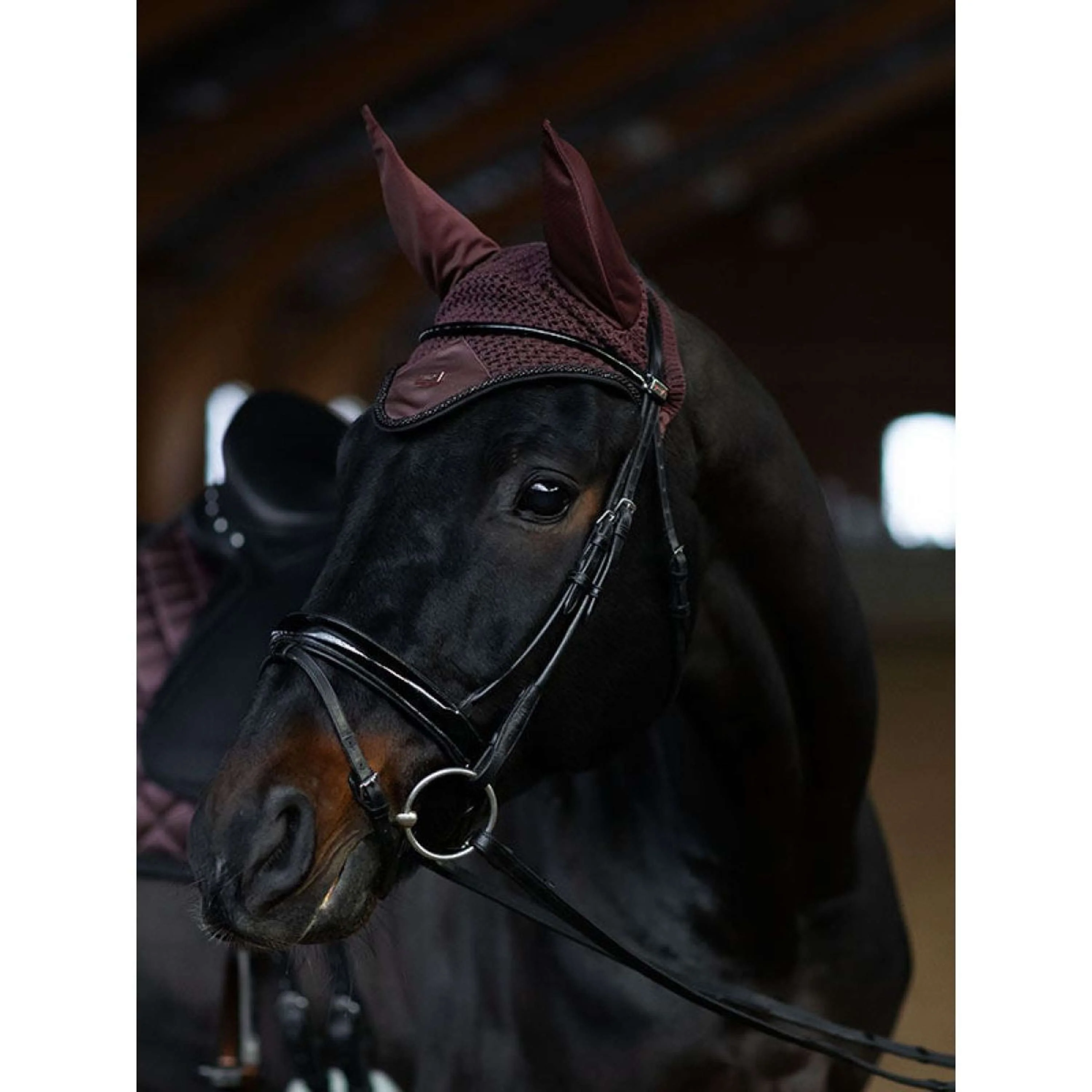 Equestrian Stockholm Fliegenhaube Endless Glow - Image 5