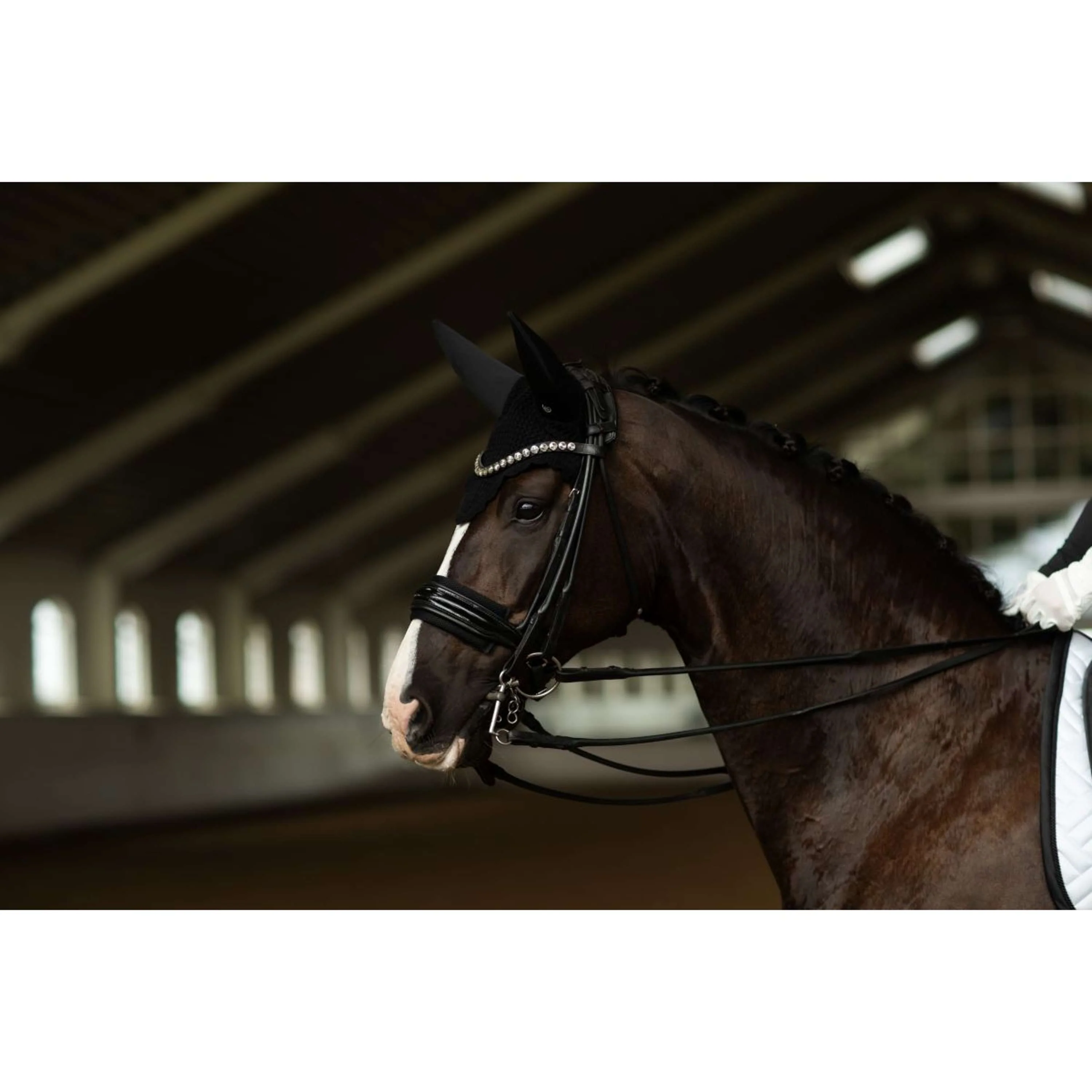 Equestrian Stockholm Fliegenhaube Padded Clean Black - Image 3