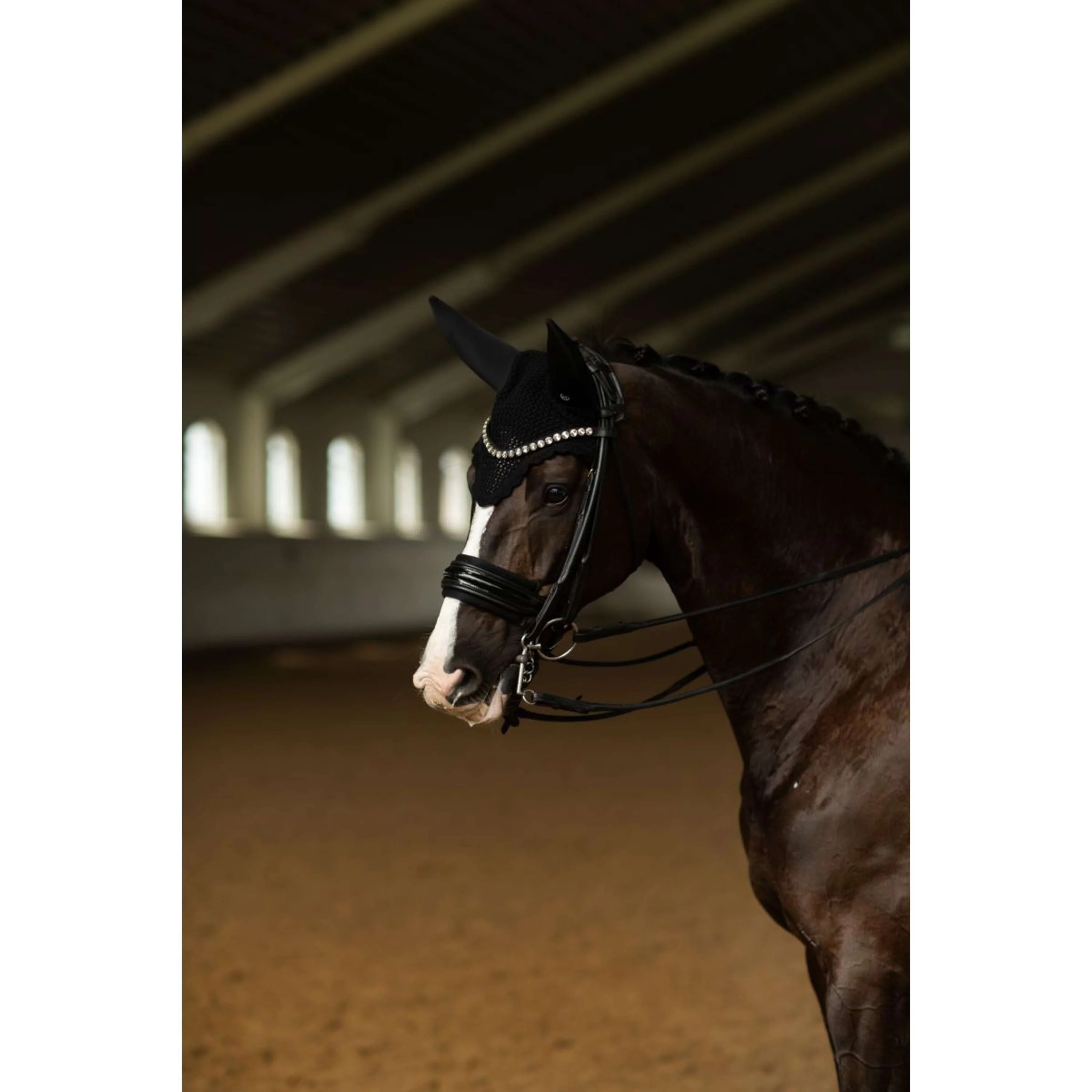 Equestrian Stockholm Fliegenhaube Padded Clean Black - Image 4