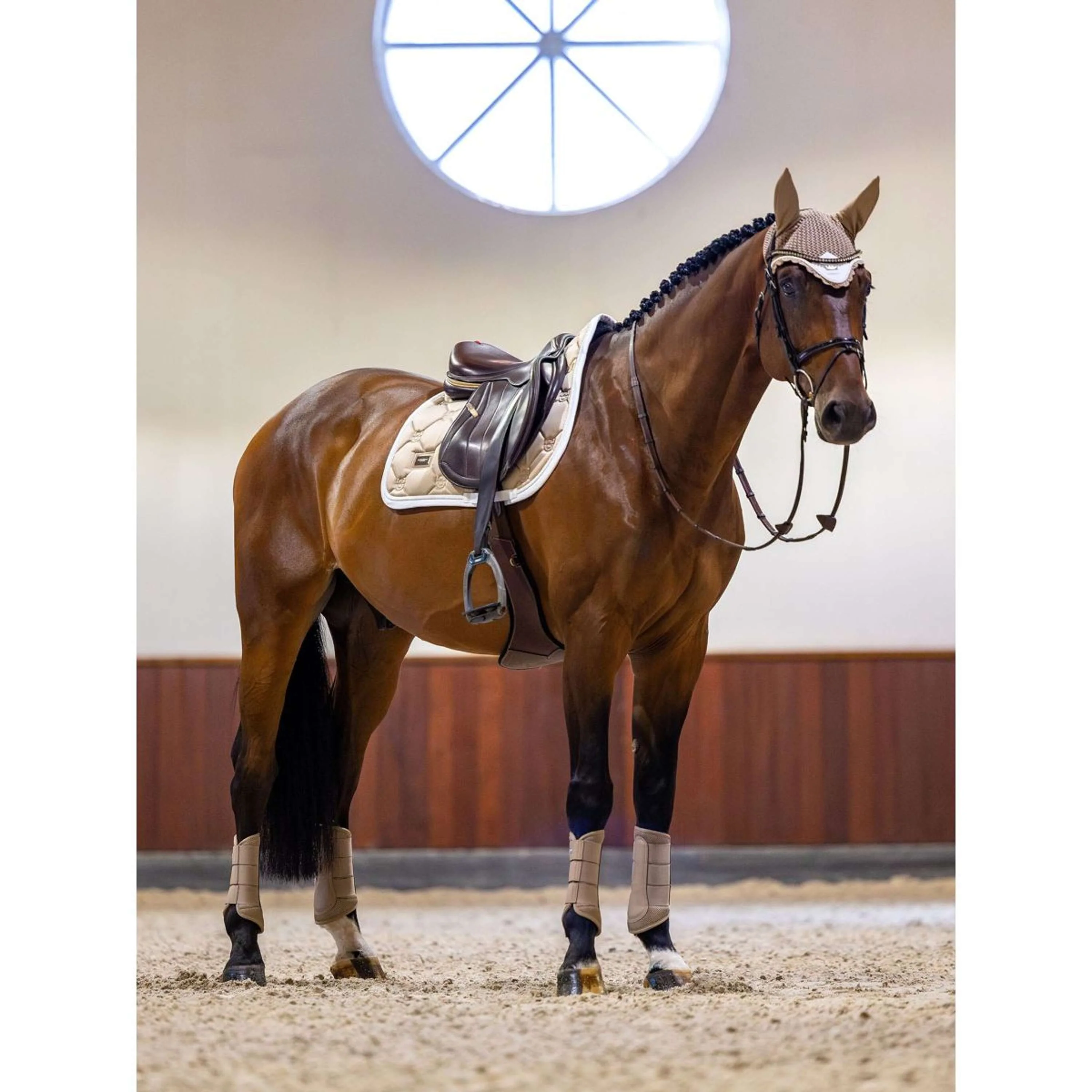 Equestrian Stockholm Schabracke Springen Sand - Image 4