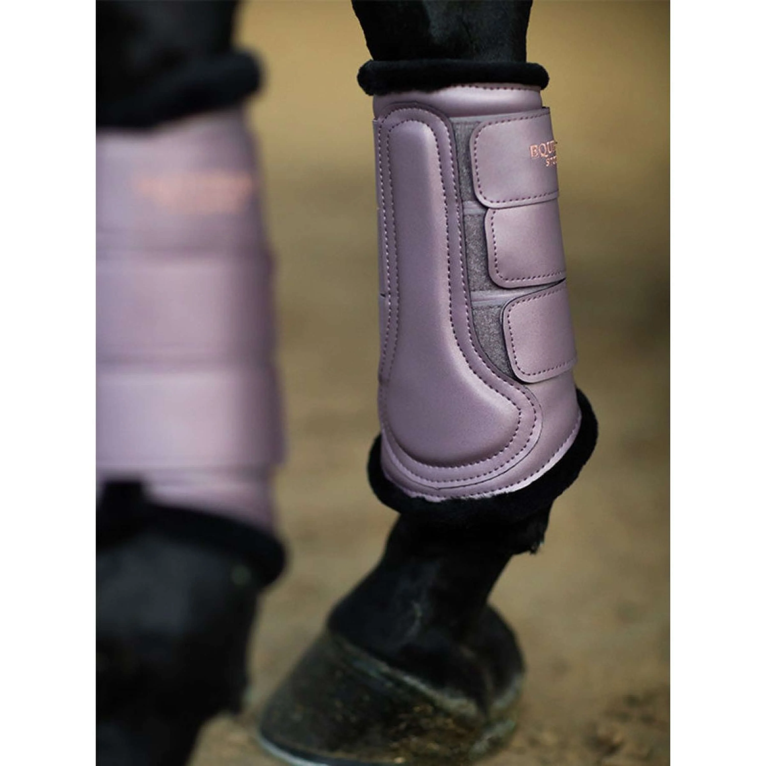 Equestrian Stockholm Gamaschen Anemone - Image 3