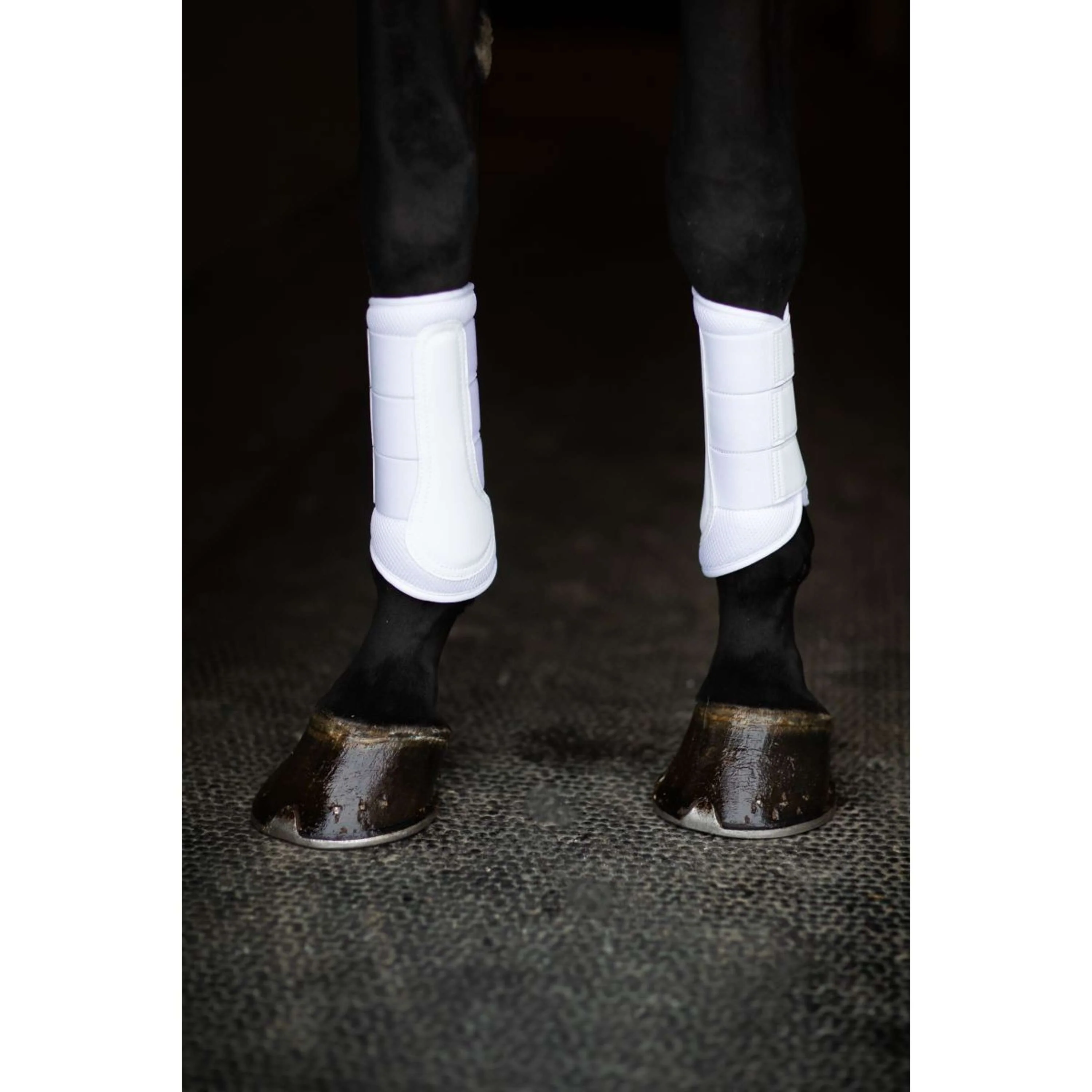 Equestrian Stockholm Gamaschen Classic Mesh White Silver - Image 7