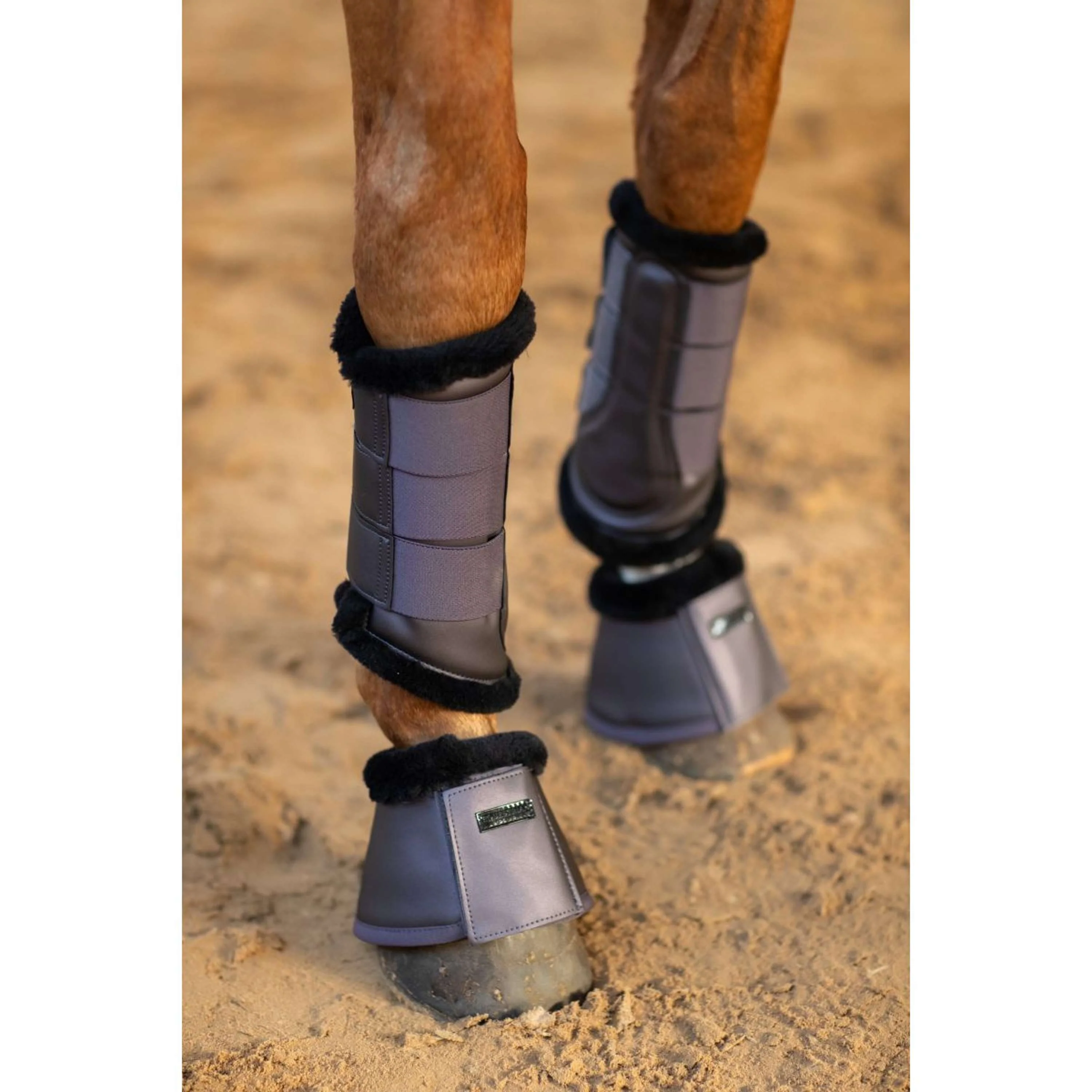 Equestrian Stockholm Gamaschen Dark Violet - Image 2