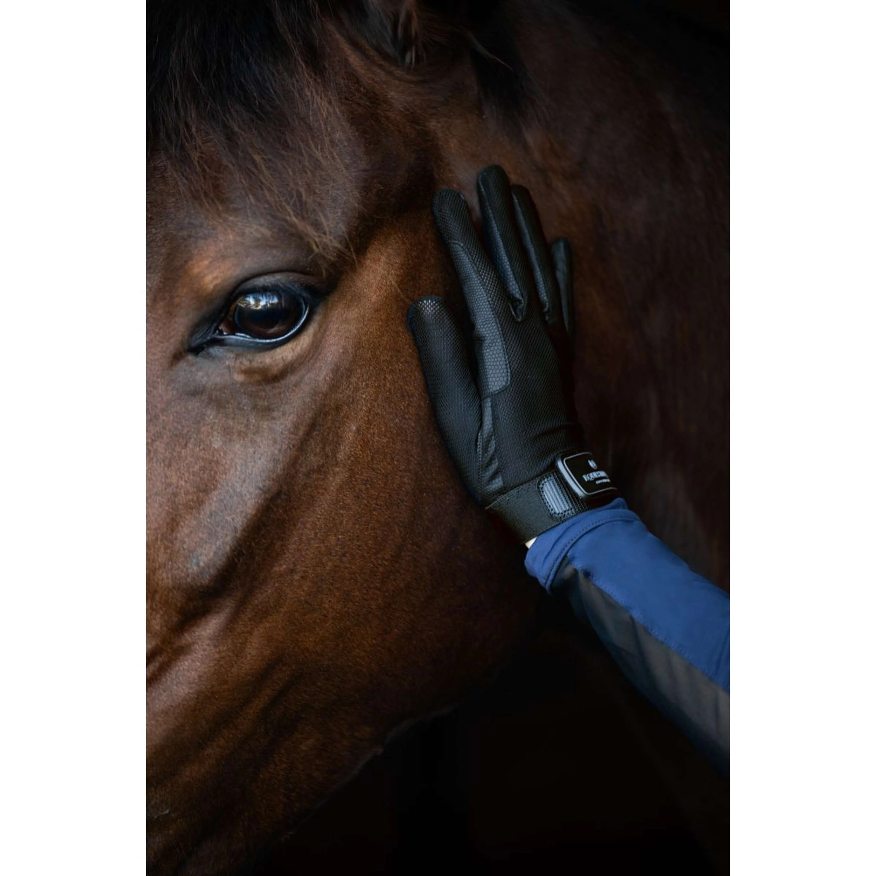 Equestrian Stockholm Reithandschuhe Summer Black Edition - Image 3