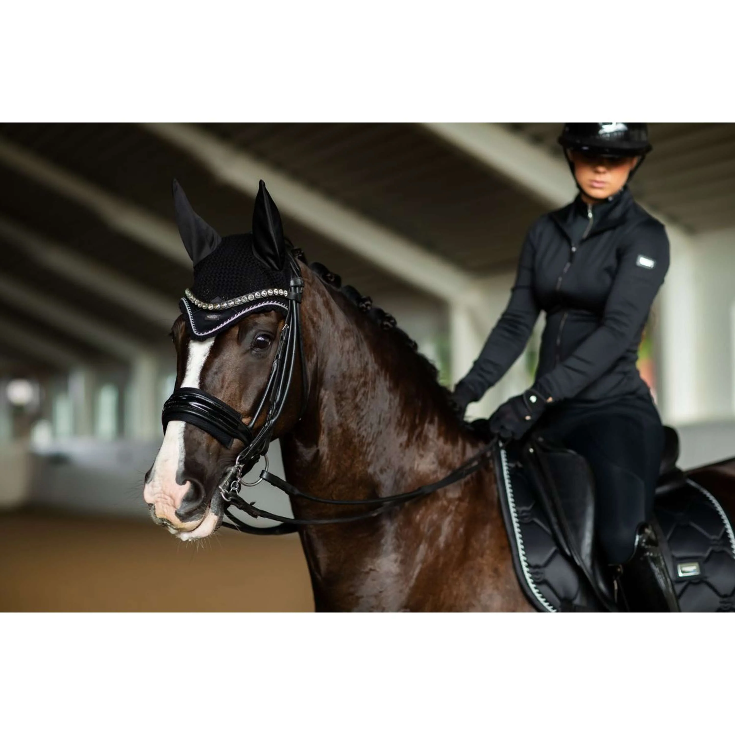 Equestrian Stockholm Schabracke Dressur Black Edition - Image 9