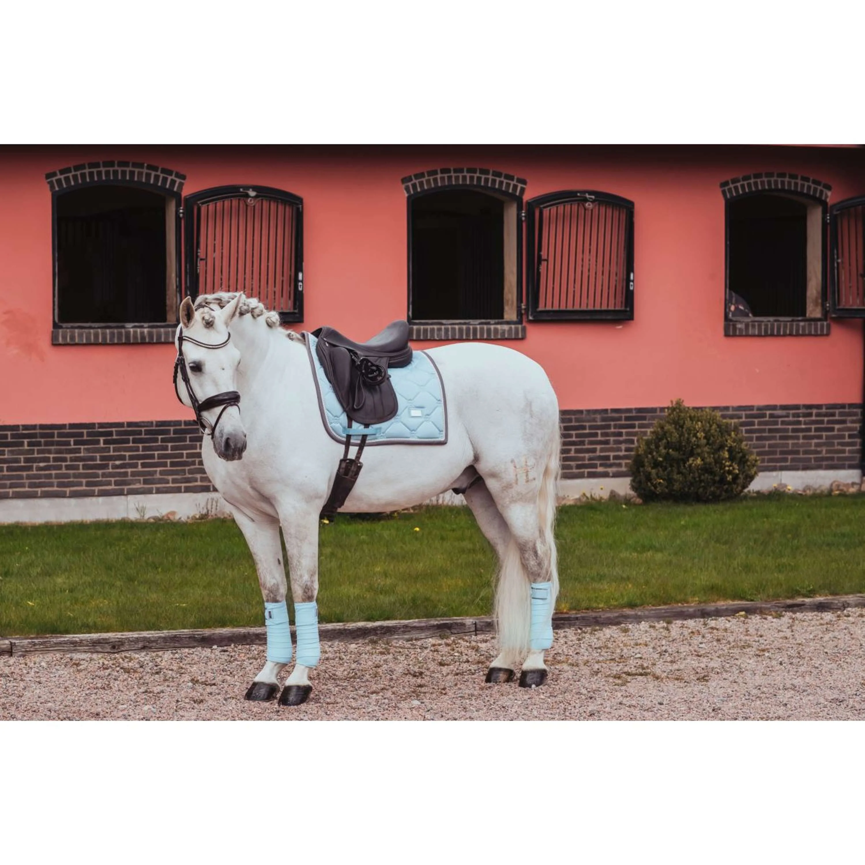 Equestrian Stockholm Schabracke Dressur Ice Blue - Image 3