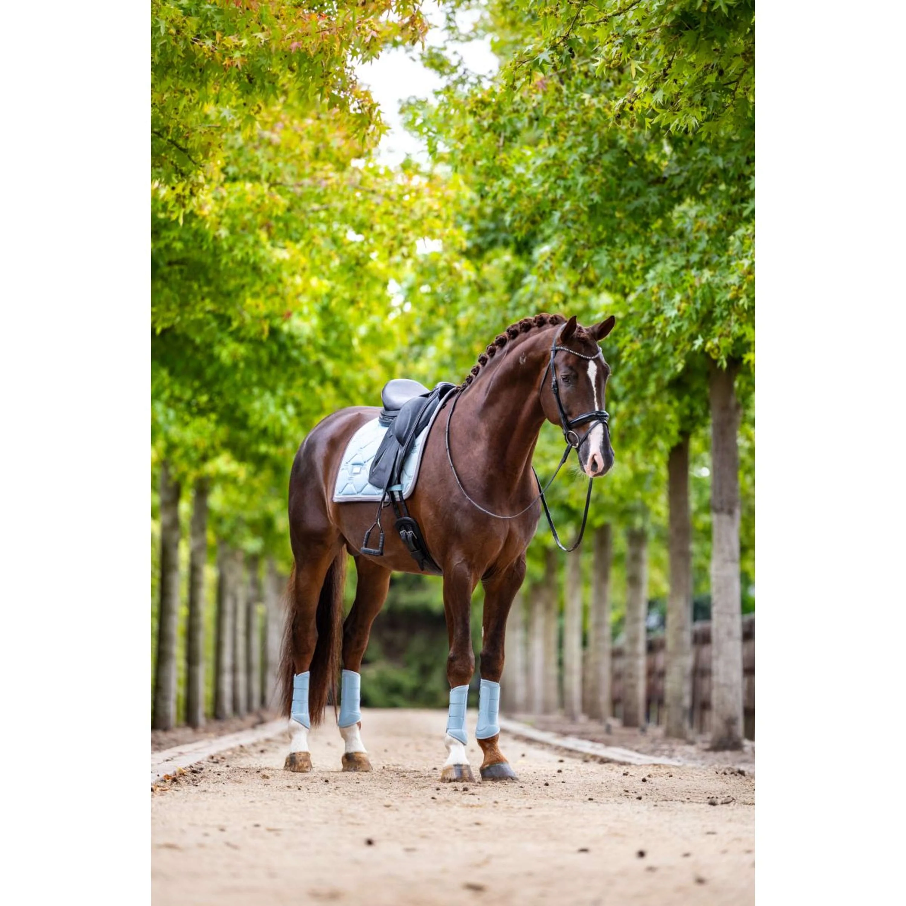 Equestrian Stockholm Schabracke Dressur Ice Blue - Image 4