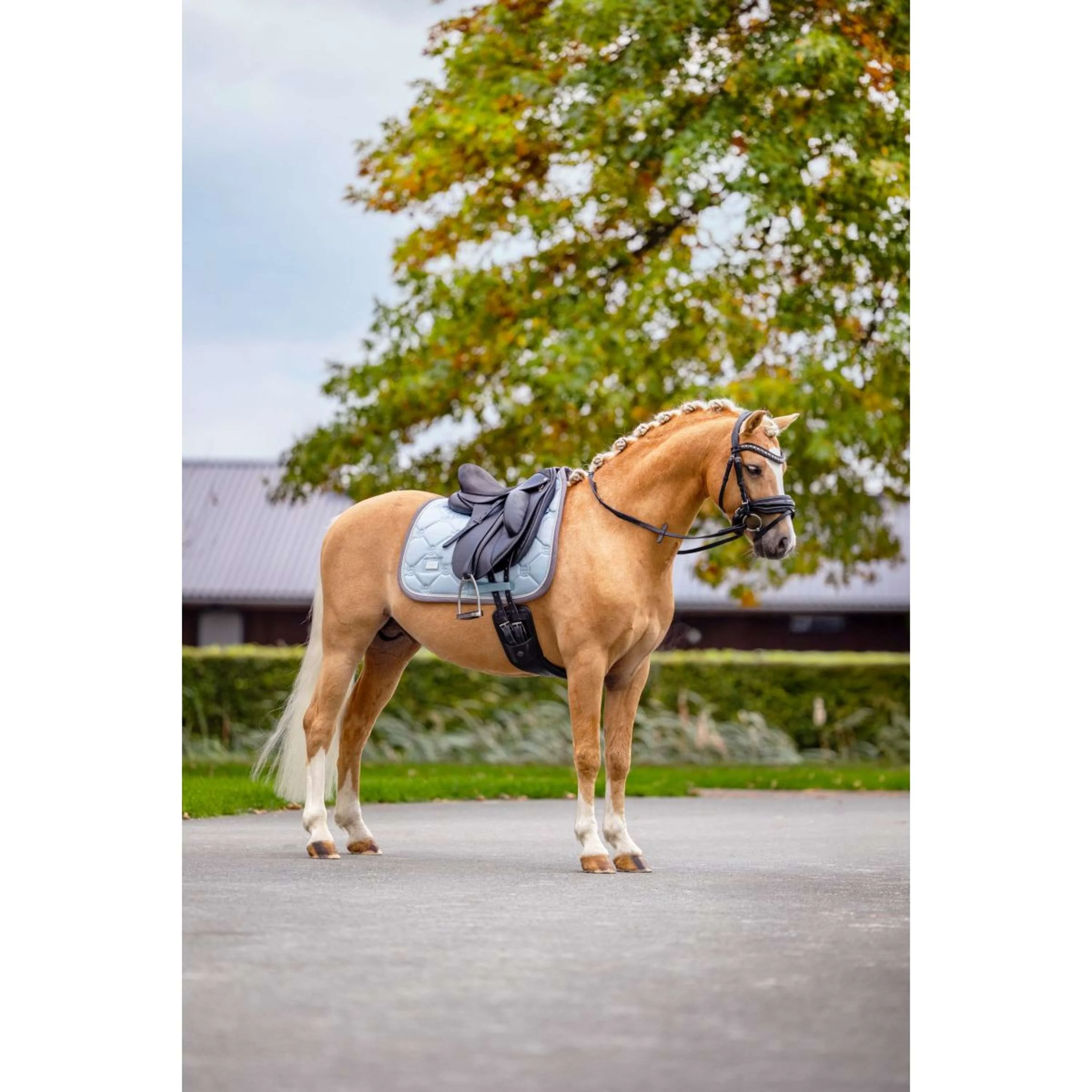 Equestrian Stockholm Schabracke Dressur Ice Blue - Image 7