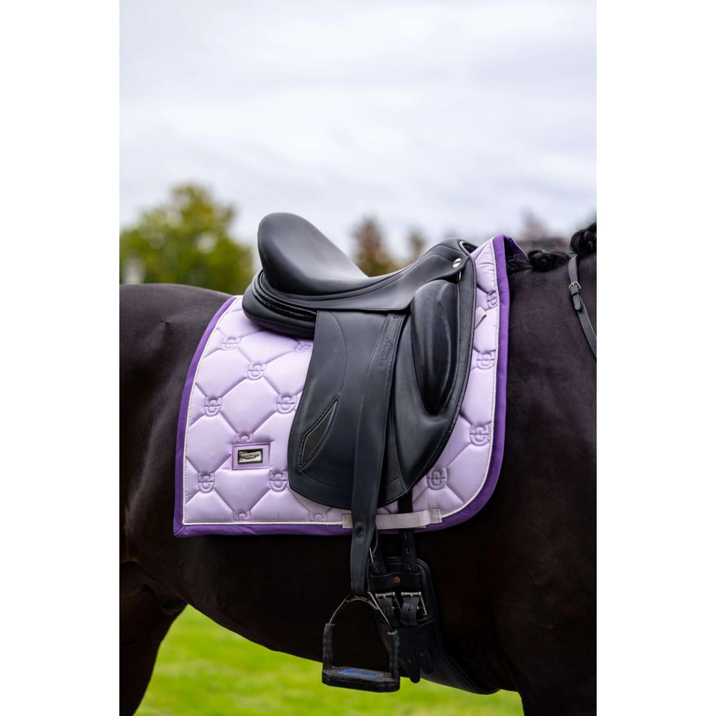 Equestrian Stockholm Schabracke Dressur Lavendel - Image 2