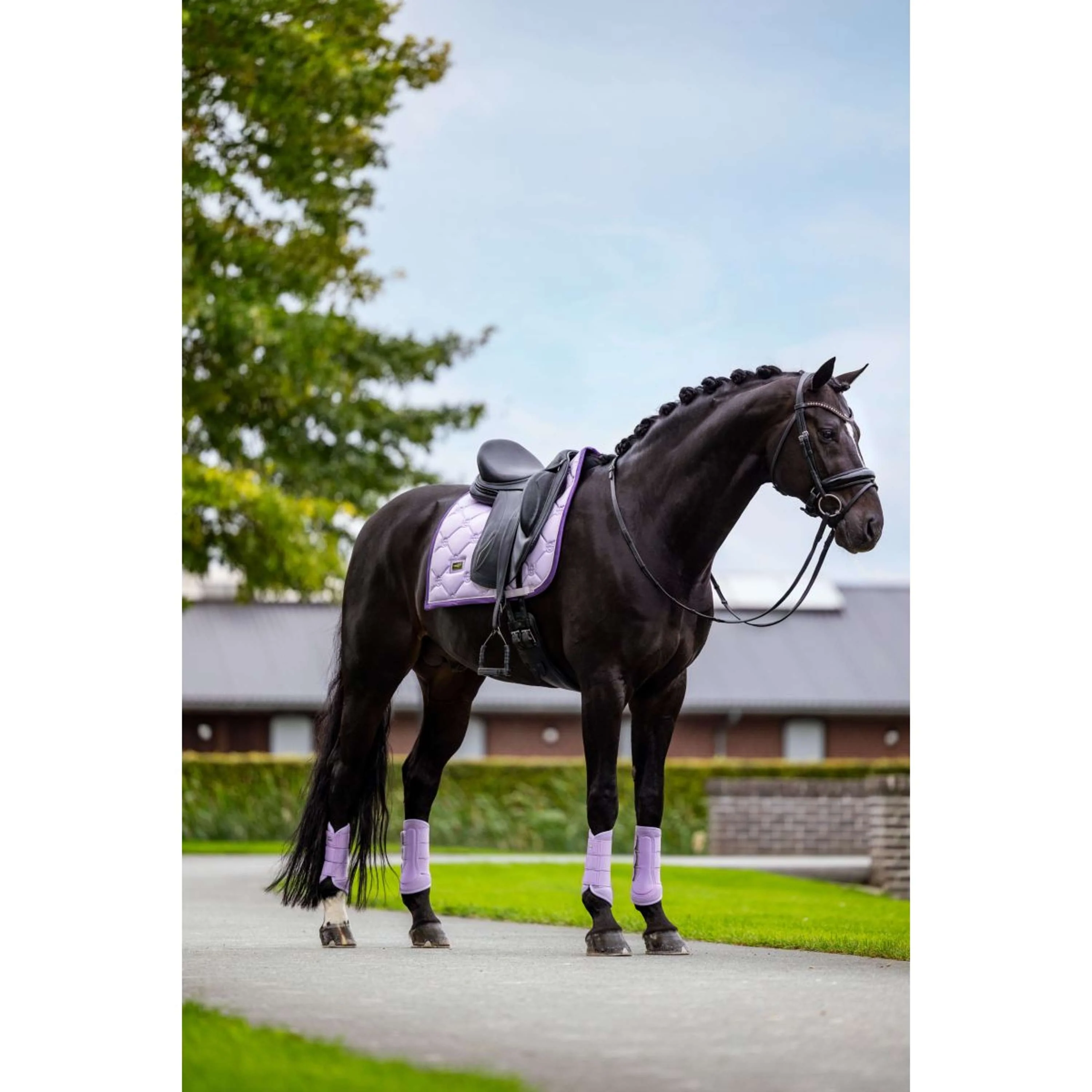 Equestrian Stockholm Schabracke Dressur Lavendel - Image 3