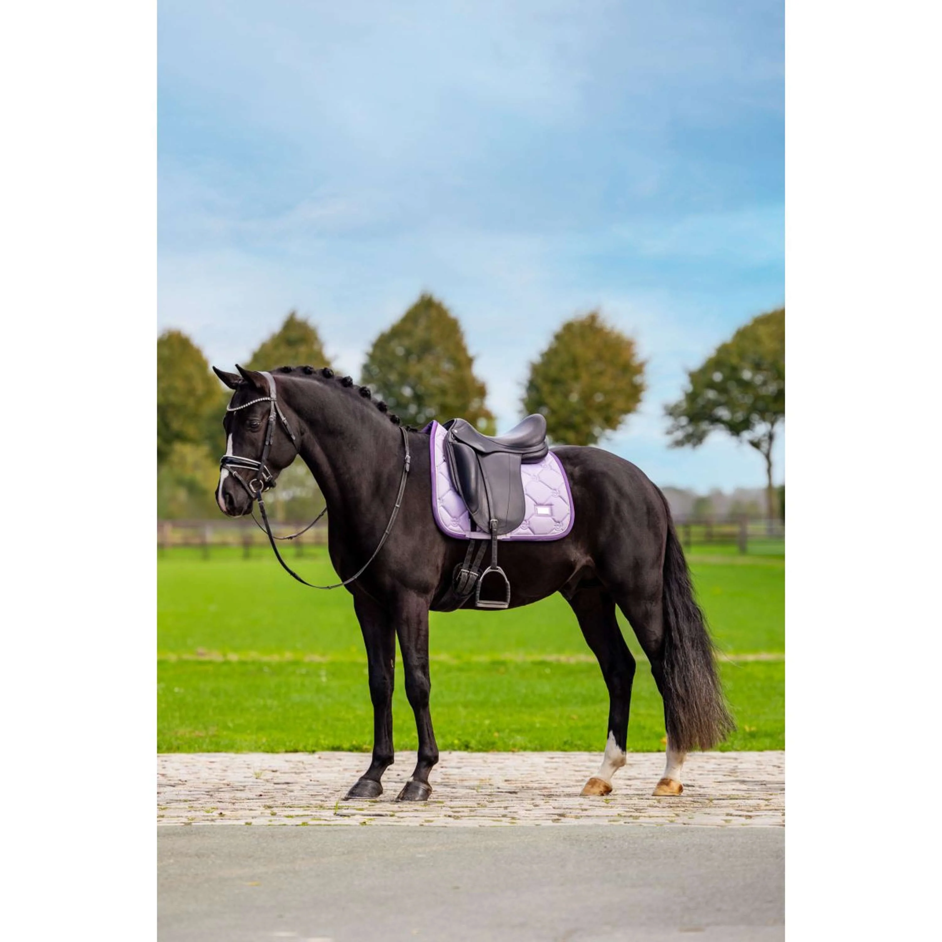 Equestrian Stockholm Schabracke Dressur Lavendel - Image 7