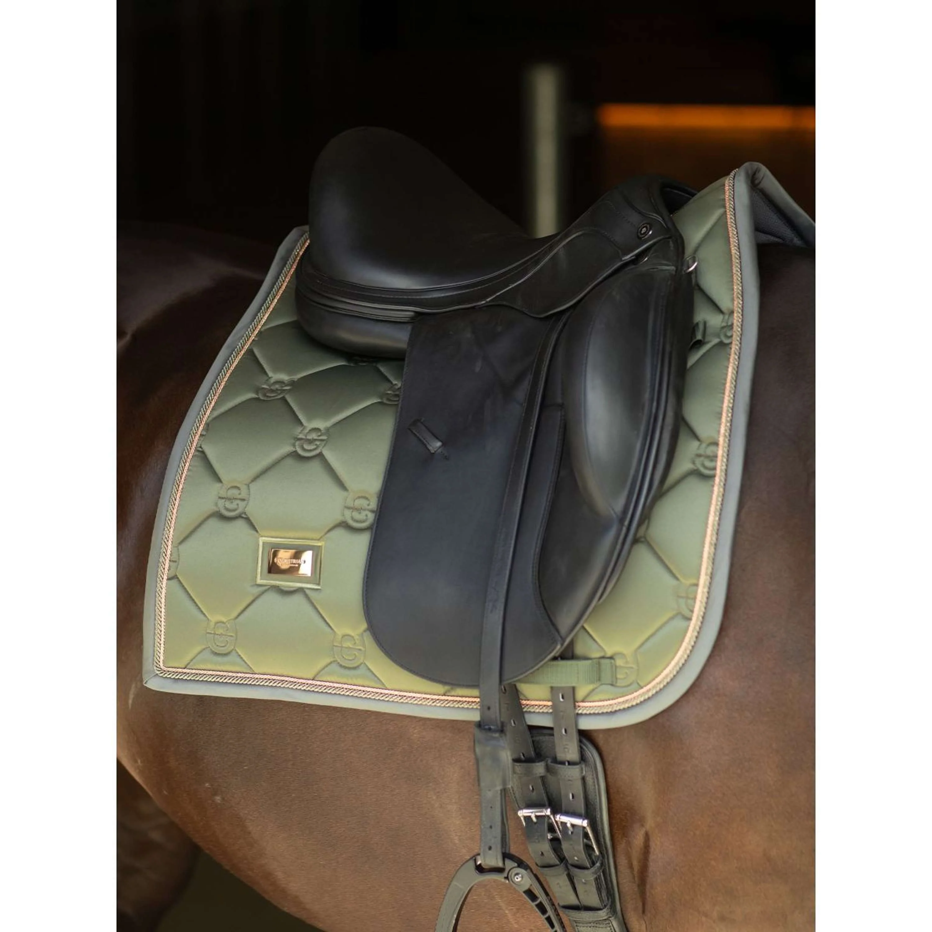 Equestrian Stockholm Schabracke Dressur Striking Valley - Image 2