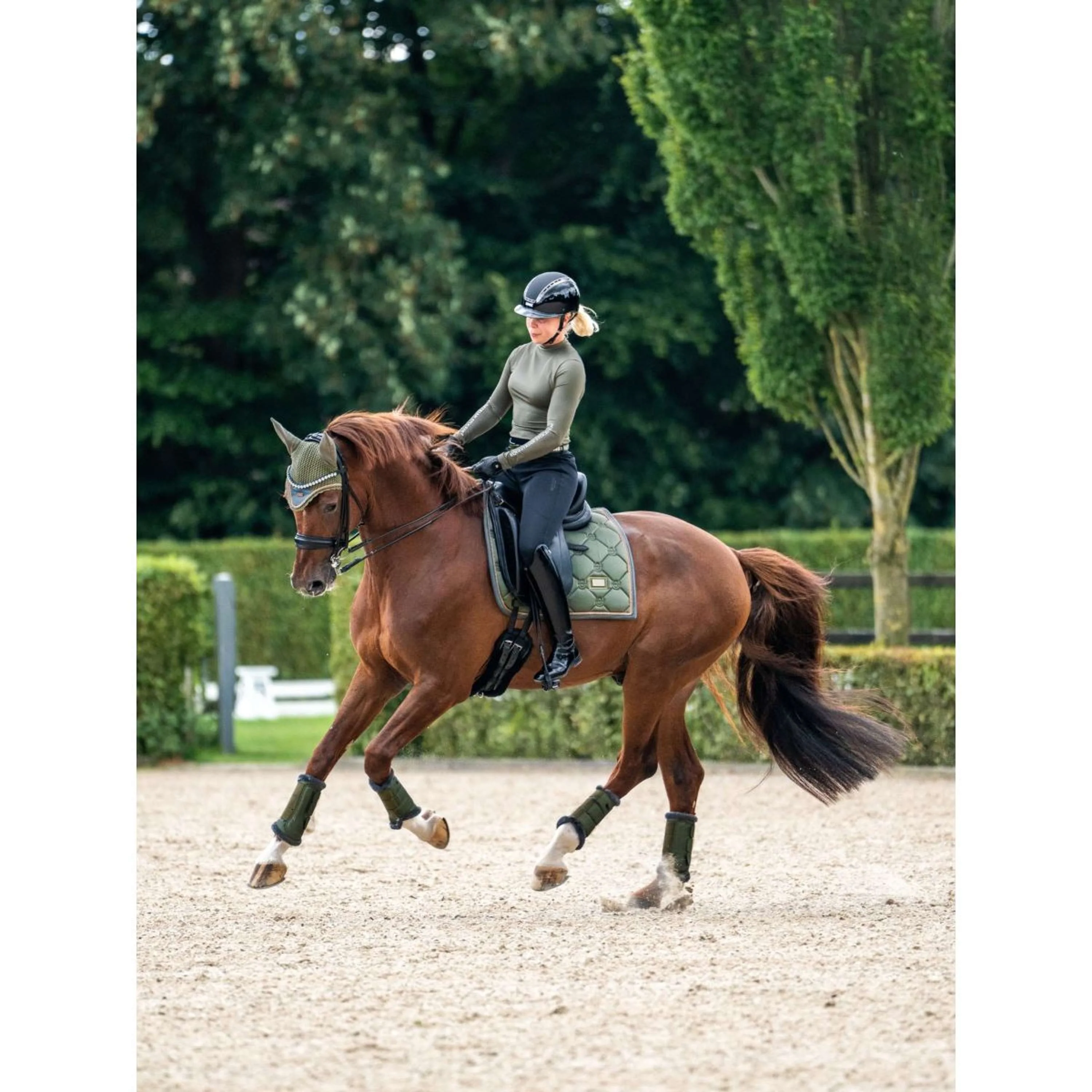 Equestrian Stockholm Schabracke Dressur Striking Valley - Image 3