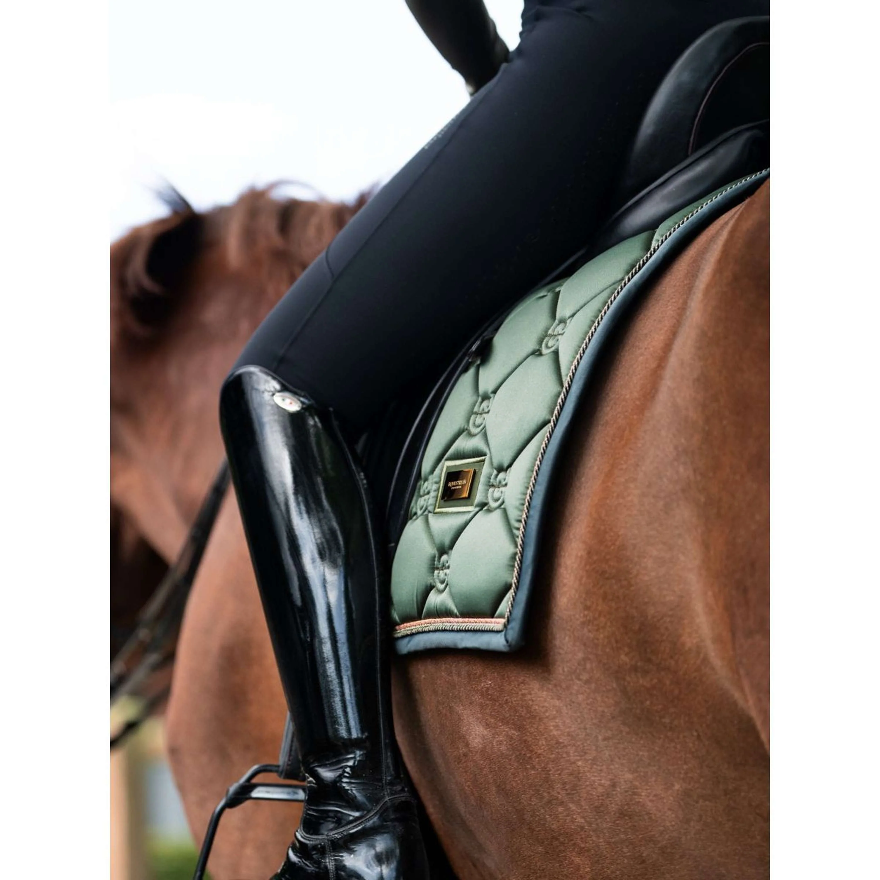 Equestrian Stockholm Schabracke Dressur Striking Valley - Image 7