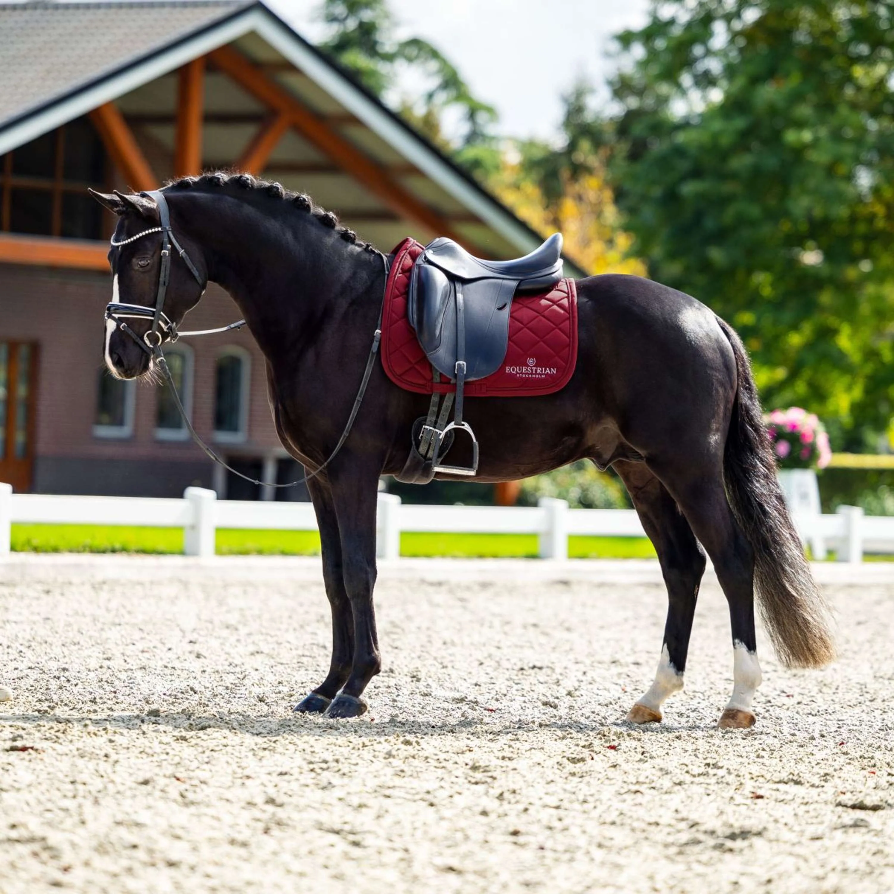 Equestrian Stockholm Schabracke Line Dressur Bordeaux - Image 4