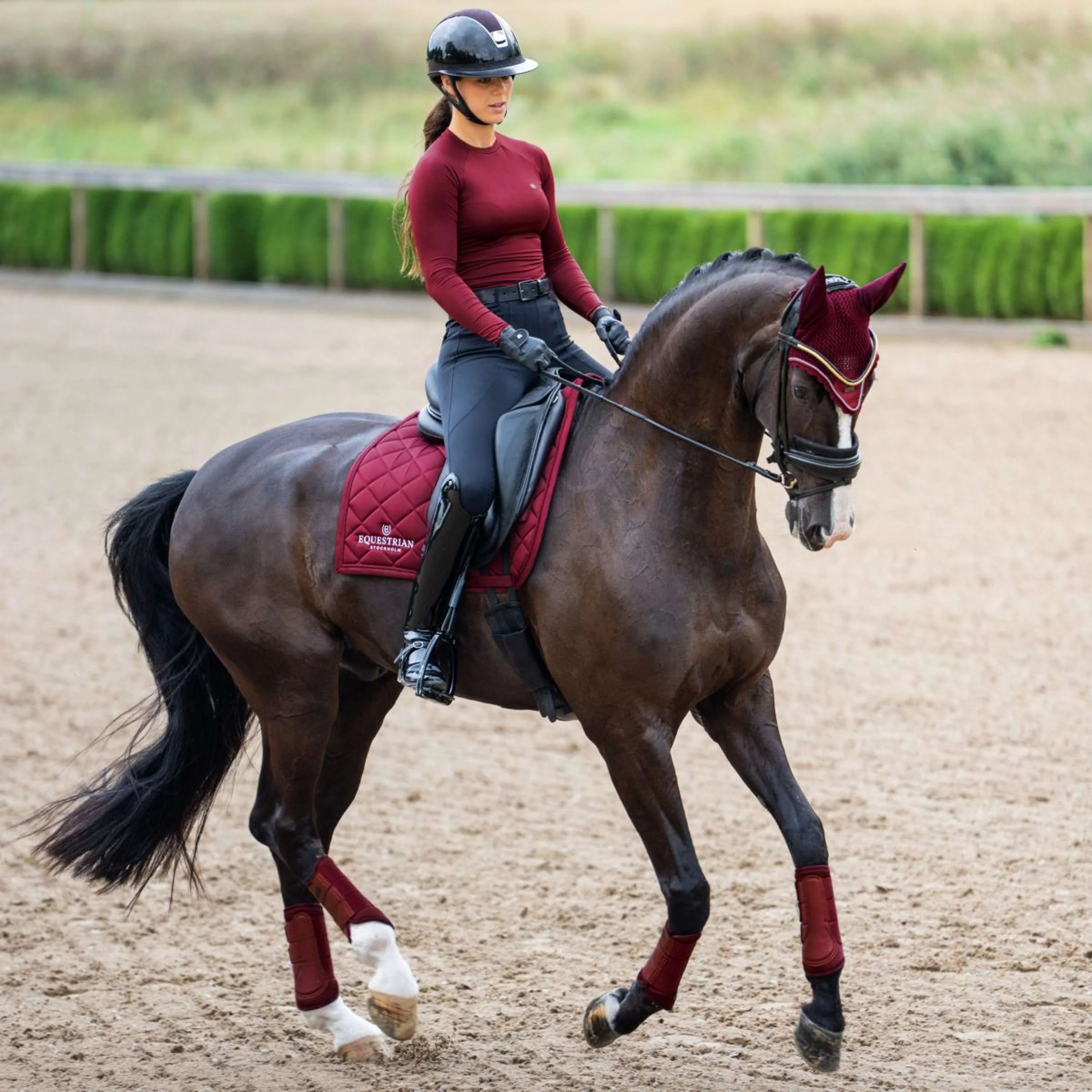 Equestrian Stockholm Schabracke Line Dressur Bordeaux - Image 7