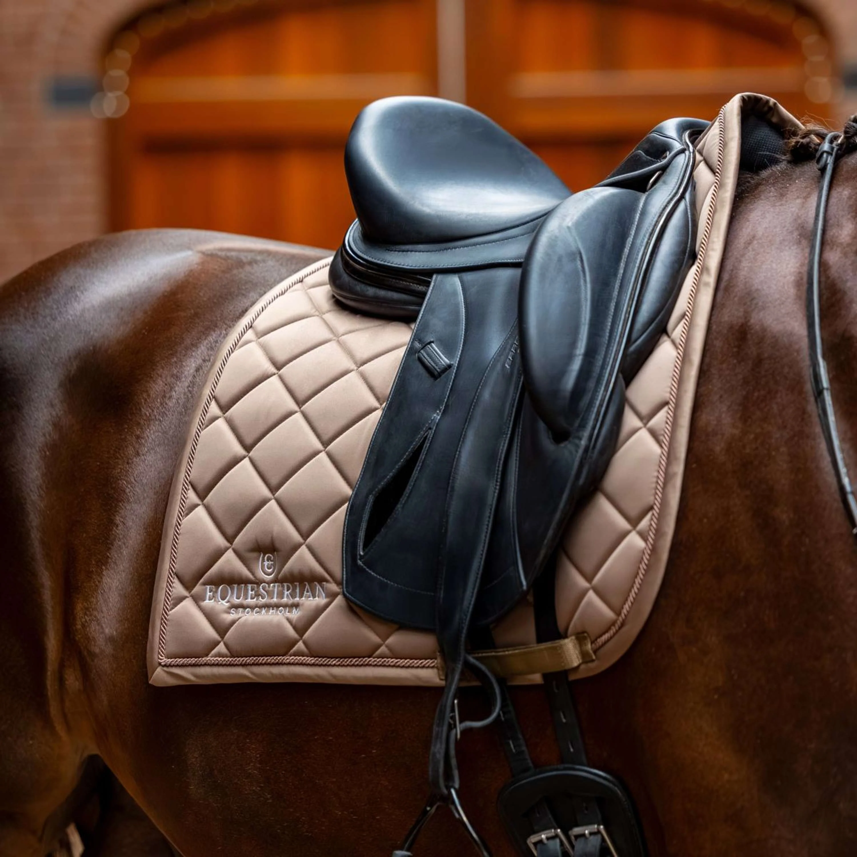 Equestrian Stockholm Schabracke Line Dressur Champagne - Image 2