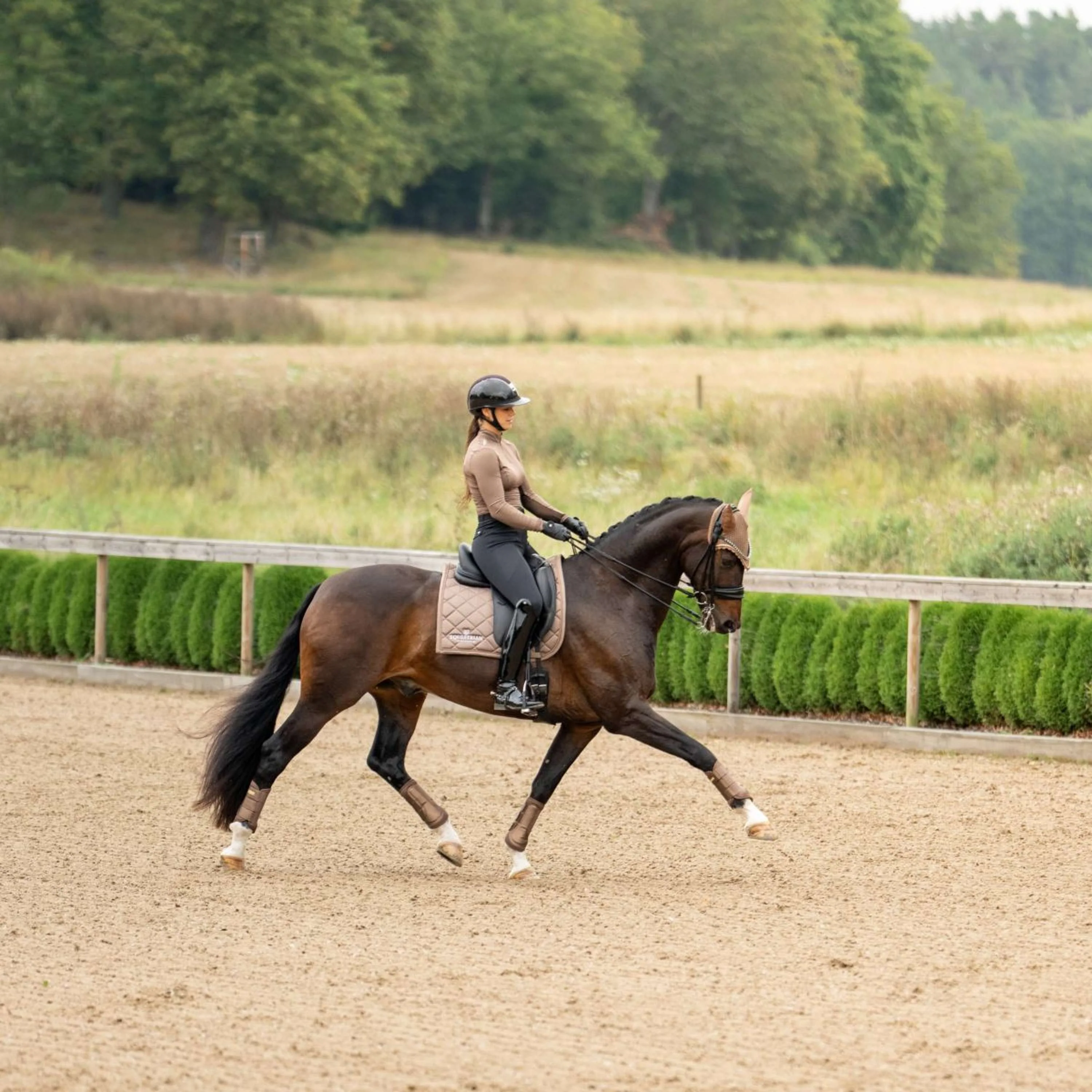 Equestrian Stockholm Schabracke Line Dressur Champagne - Image 6