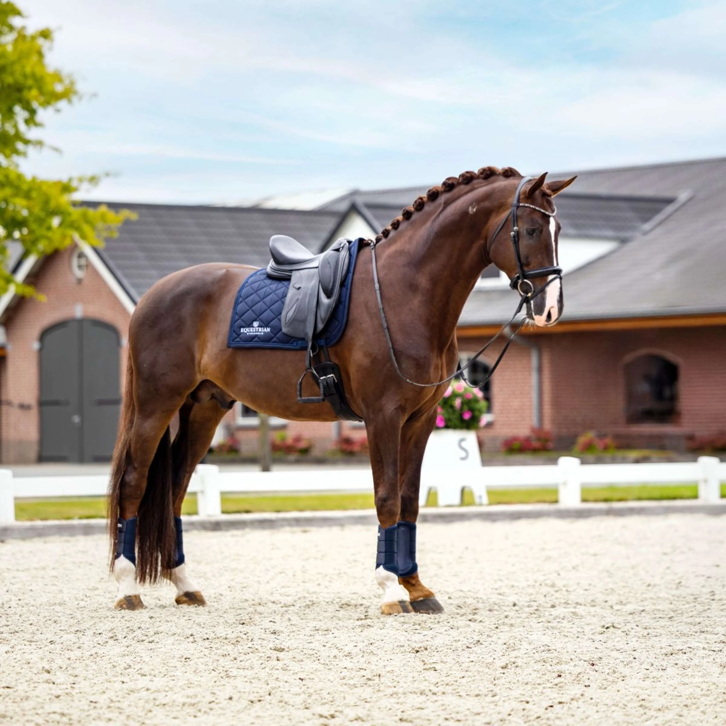Equestrian Stockholm Schabracke Line Dressur Navy - Image 3