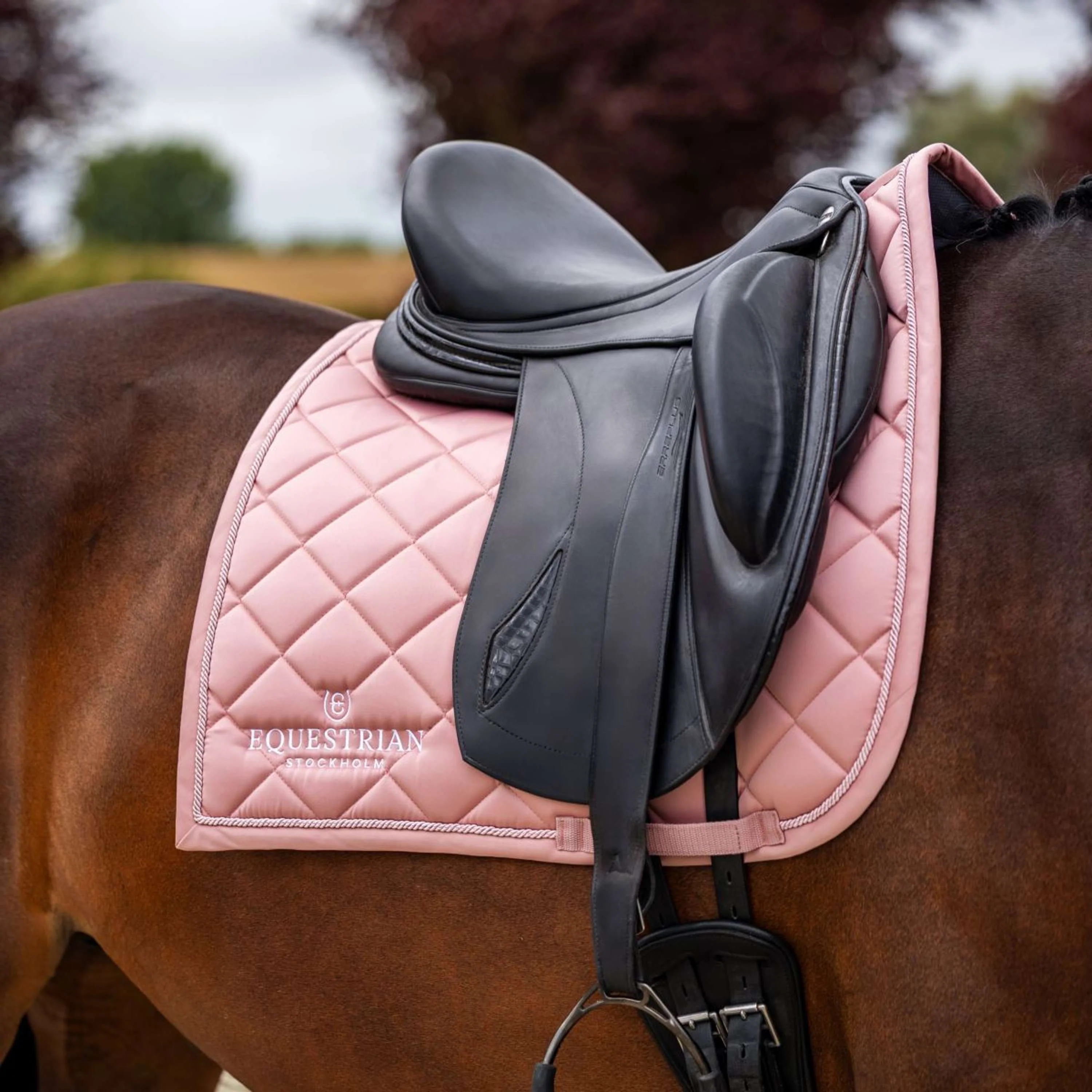 Equestrian Stockholm Schabracke Line Dressur Rosa - Image 2