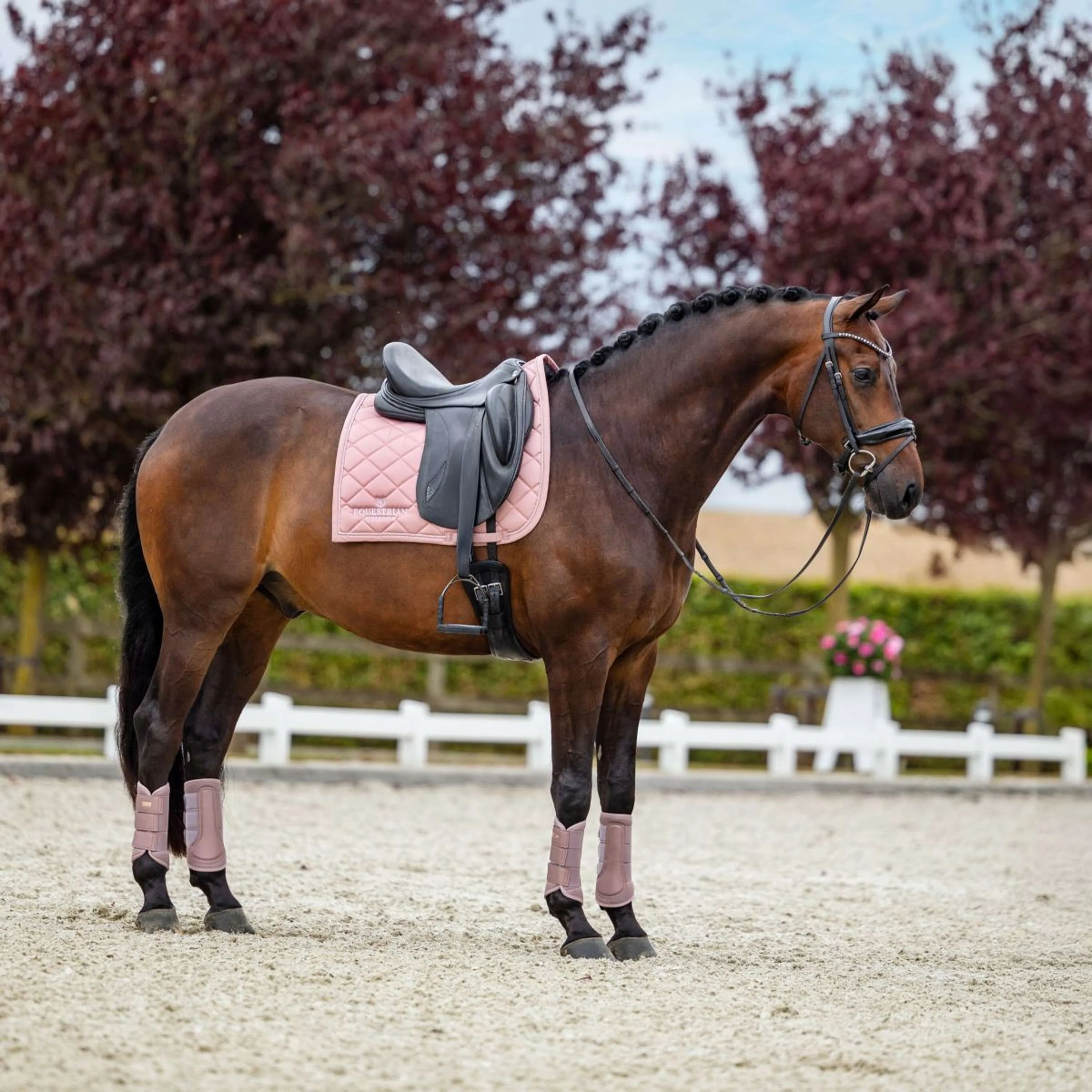 Equestrian Stockholm Schabracke Line Dressur Rosa - Image 3