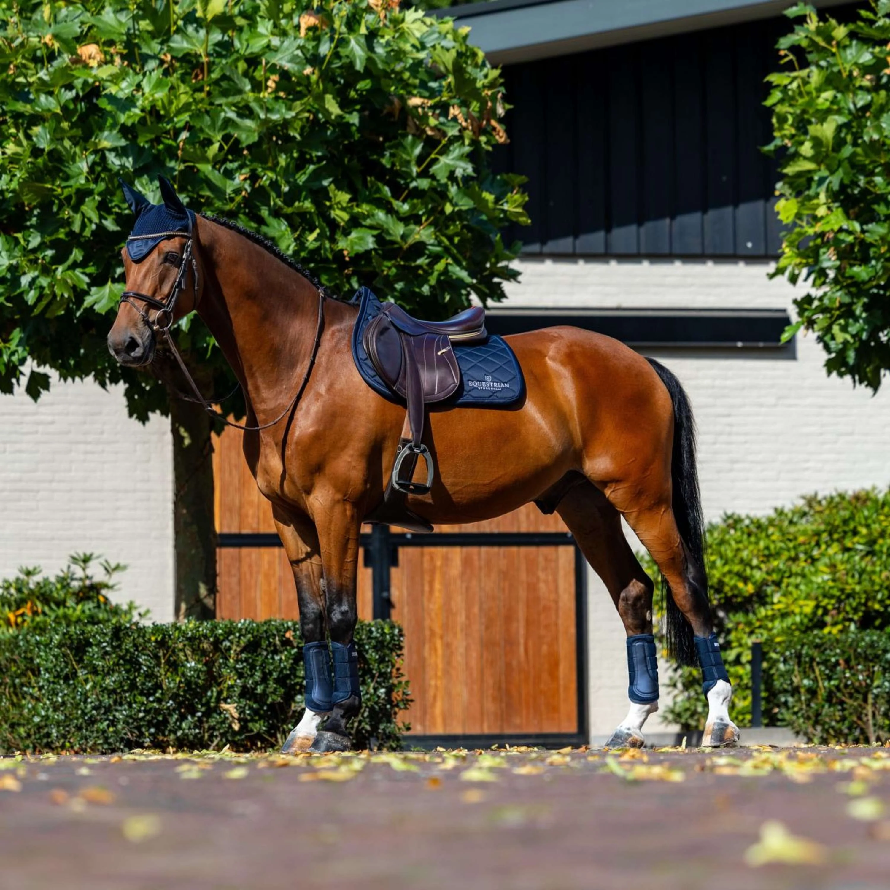 Equestrian Stockholm Schabracke Line Springen Navy - Image 3