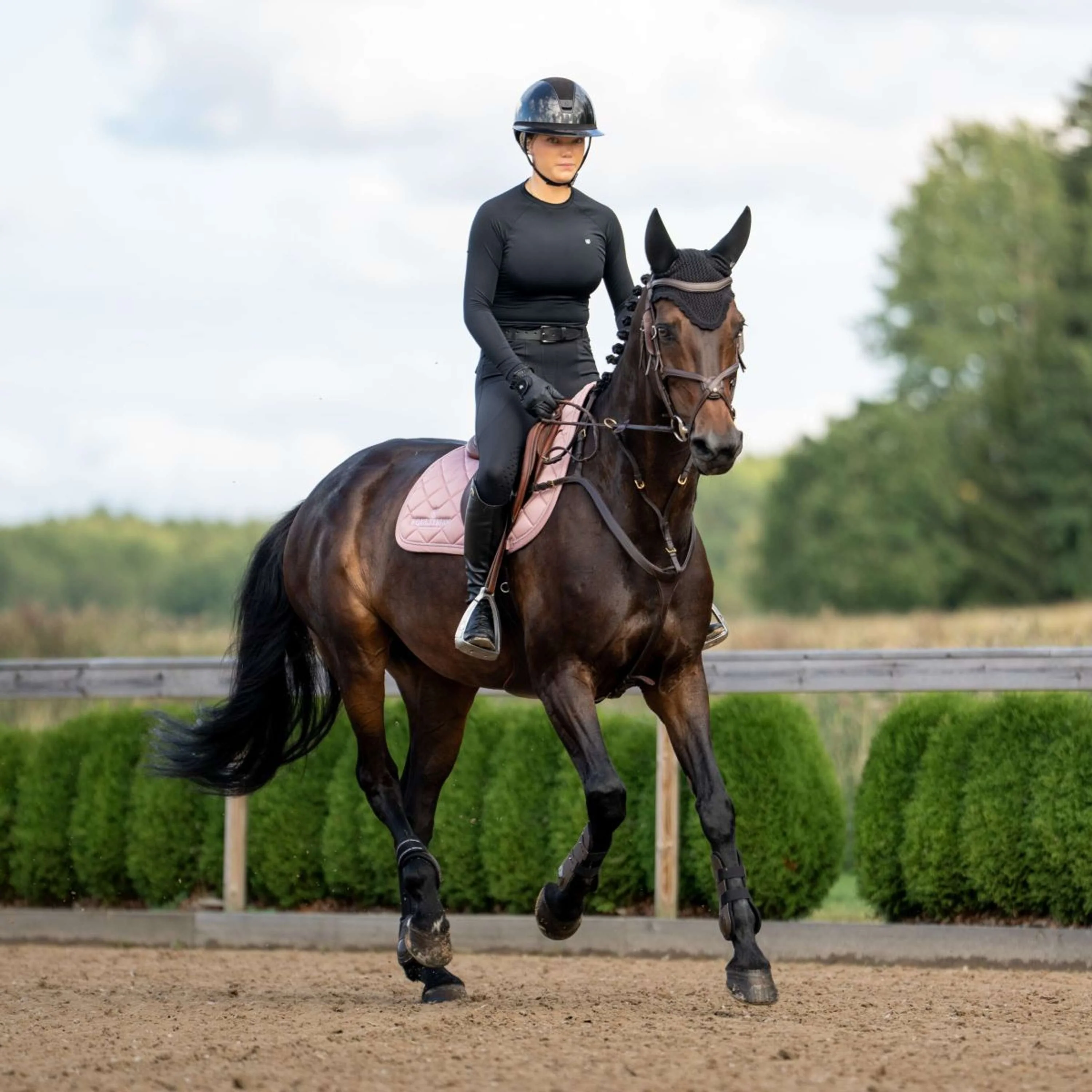 Equestrian Stockholm Schabracke Line Springen Rosa - Image 7