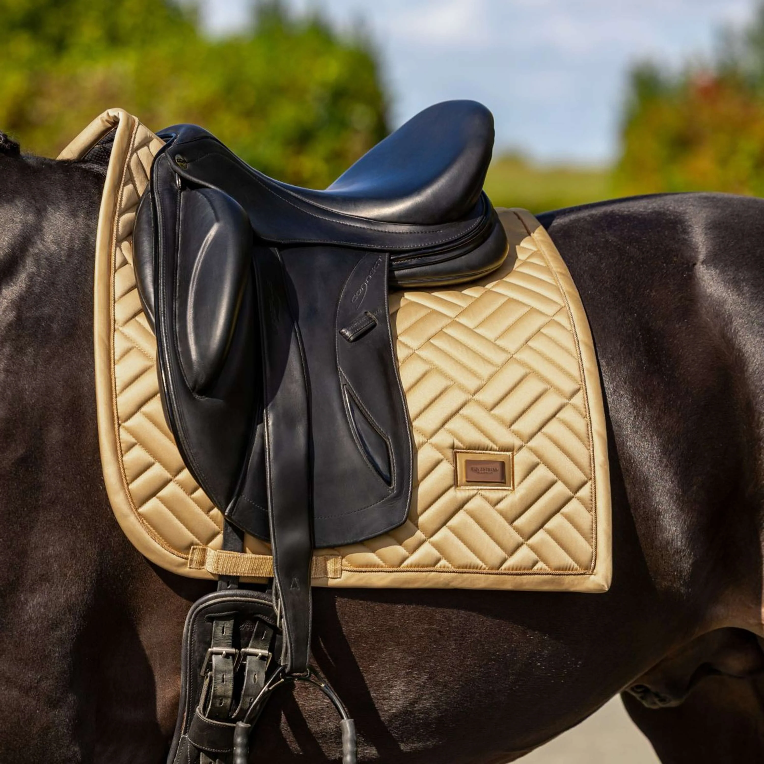 Equestrian Stockholm Schabracke Modern Dressur Midsummer Glow - Image 2