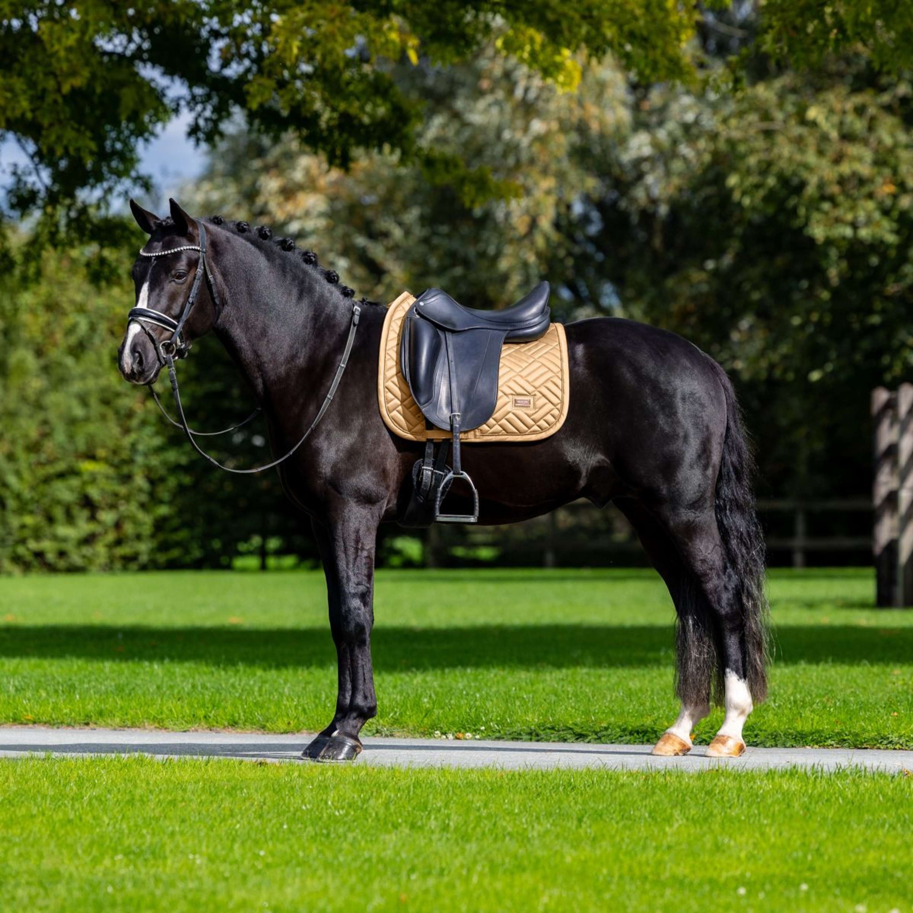 Equestrian Stockholm Schabracke Modern Dressur Midsummer Glow - Image 5