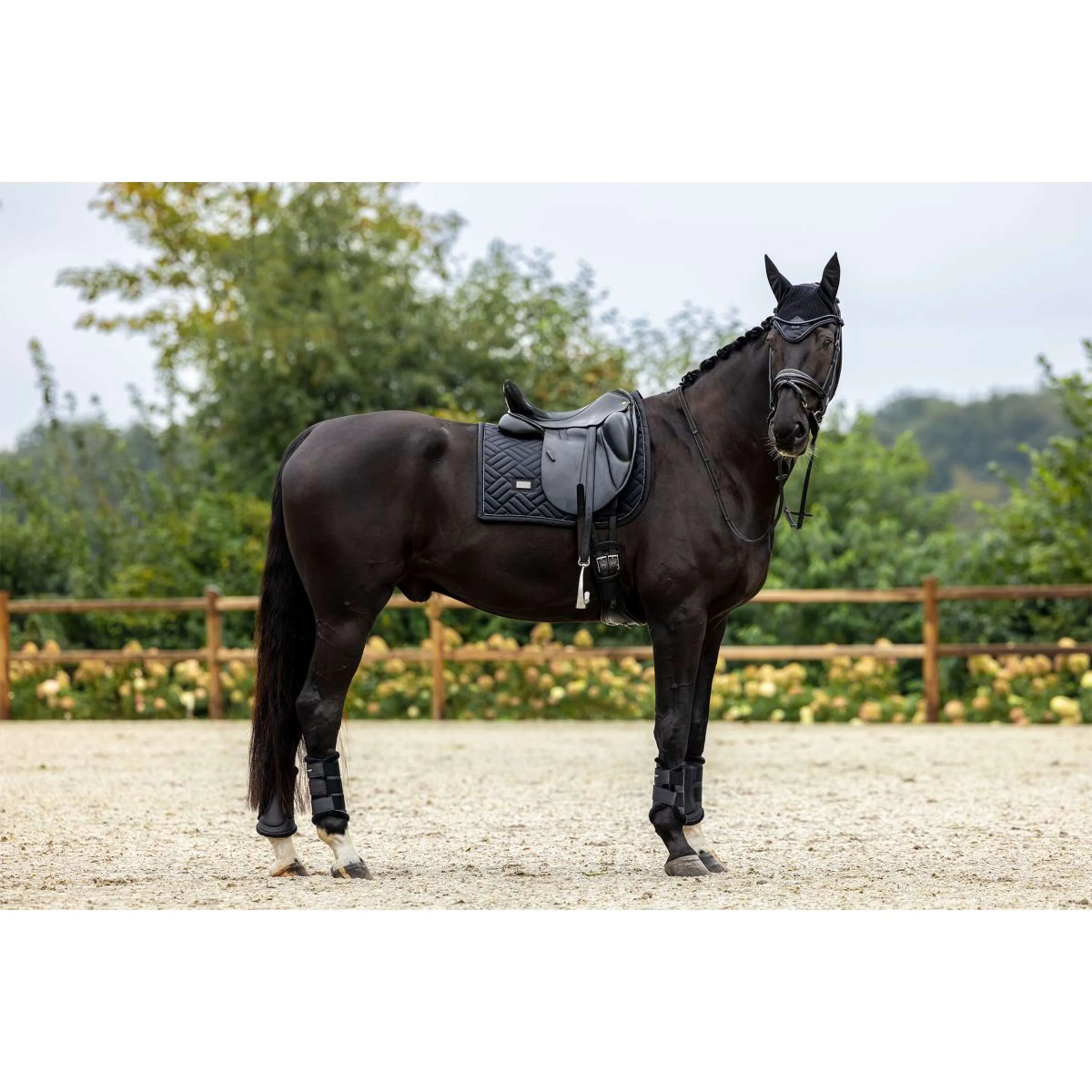 Equestrian Stockholm Fliegenhaube Black Edition - Image 2