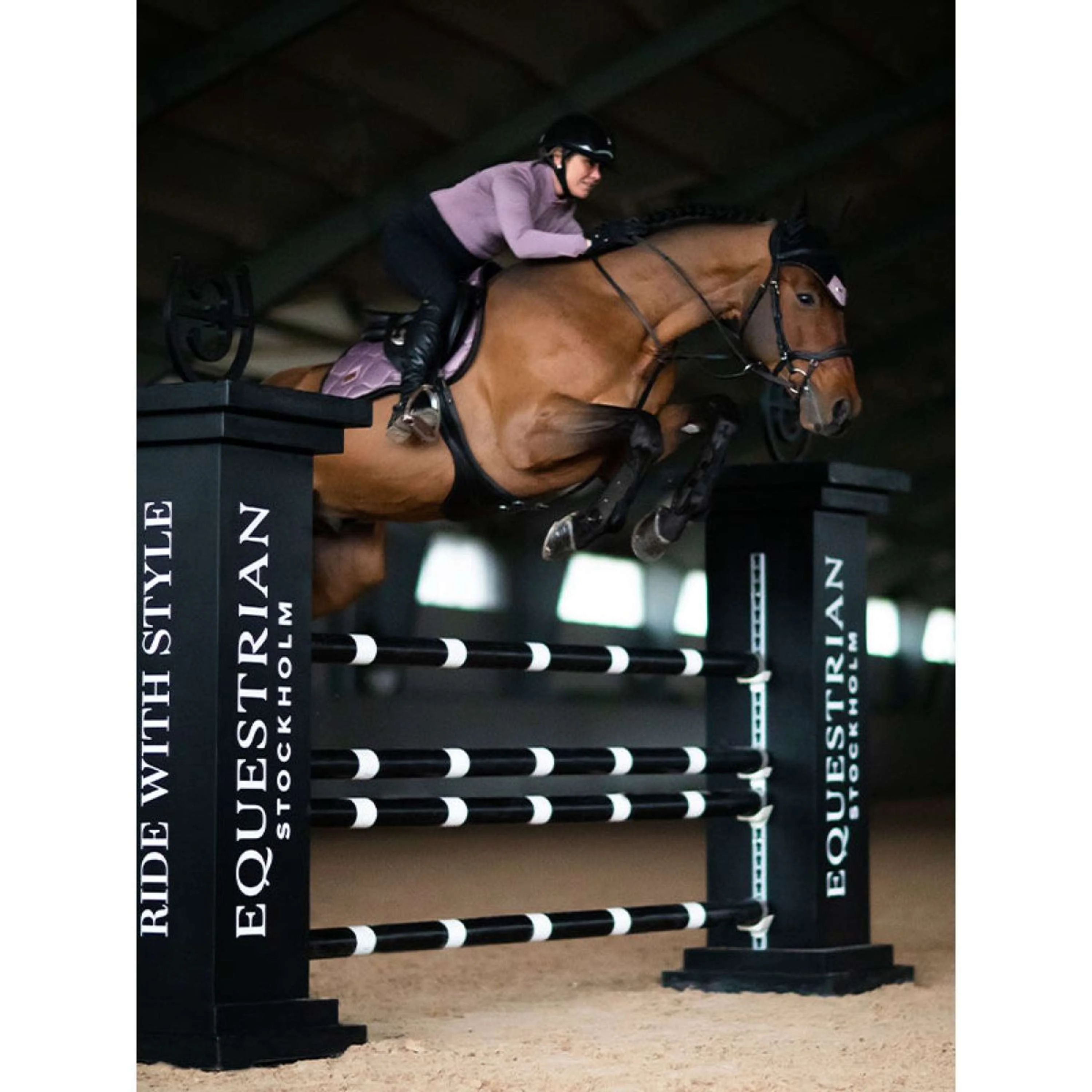 Equestrian Stockholm Schabracke Springen Anemone - Image 3