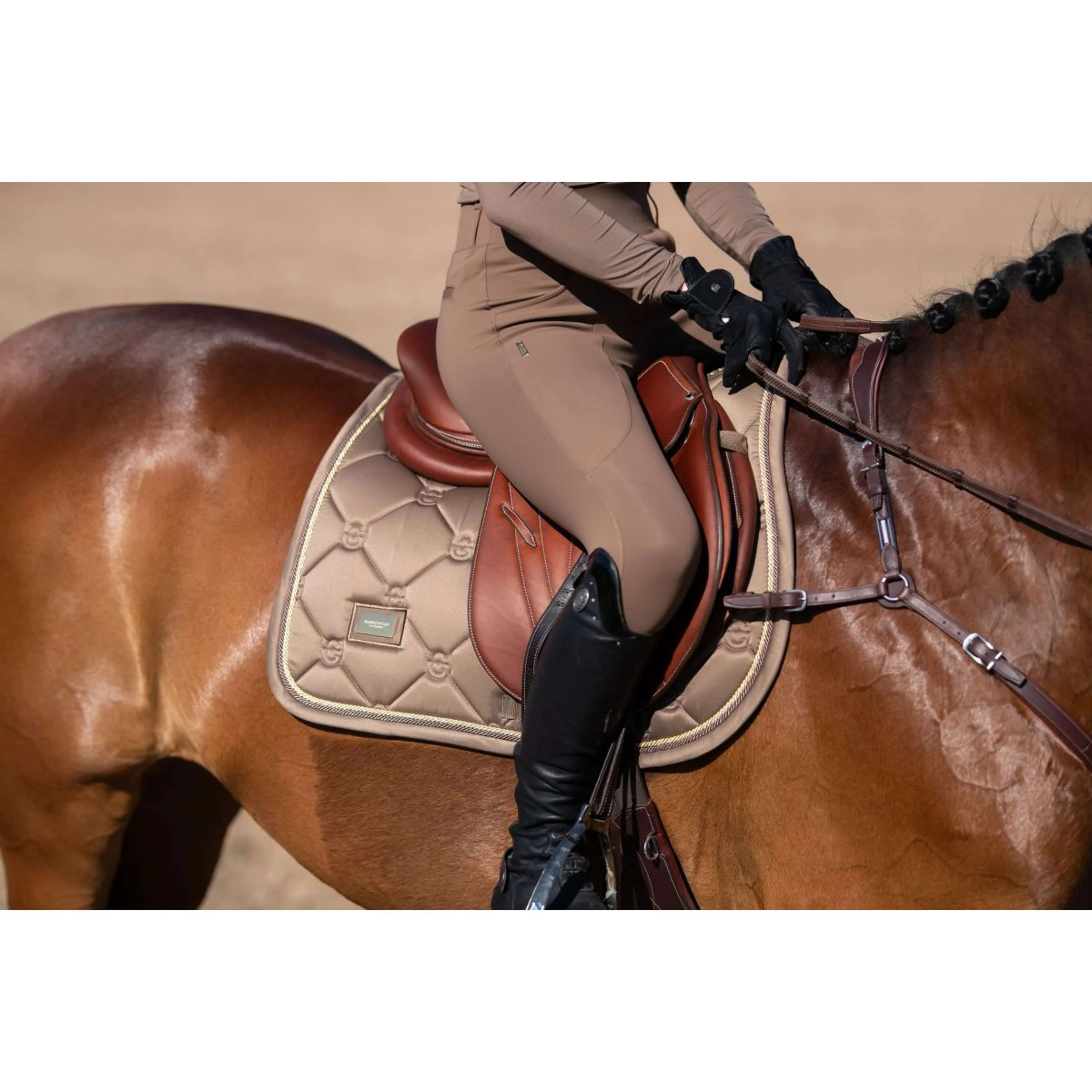 Equestrian Stockholm Schabracke Springen Champagne - Image 5