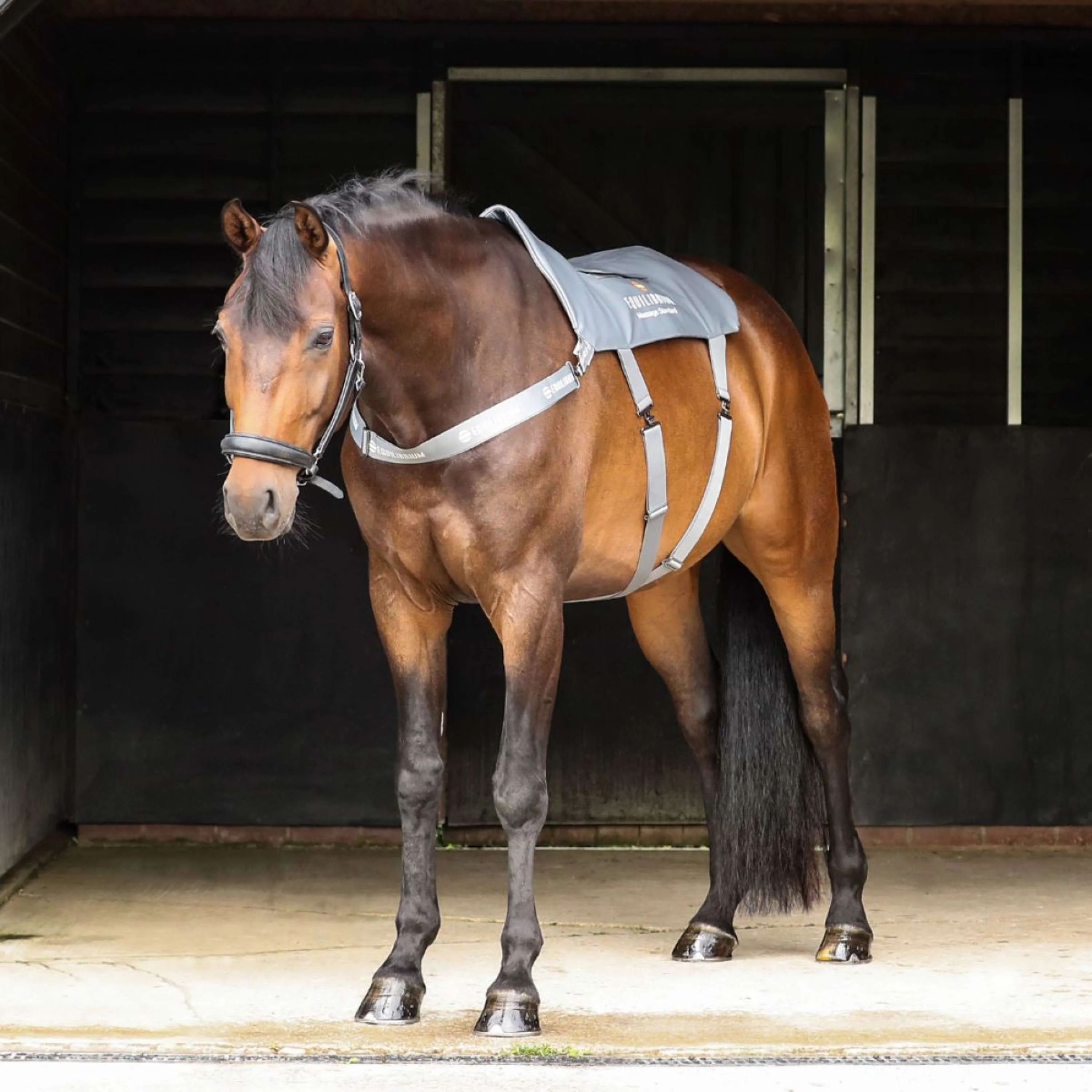 Equilibrium Massage Pad Grau - Image 2
