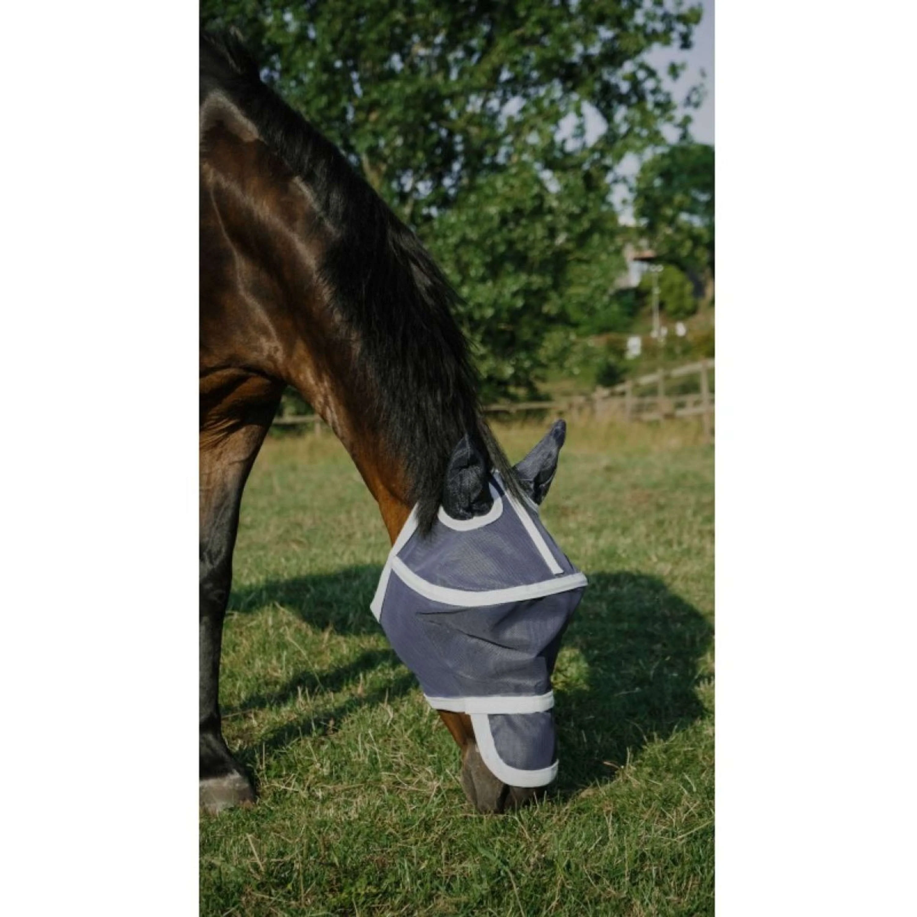 EQUITHÈME Fliegenmaske Hoop mit UV-Schutz Navy - Image 10