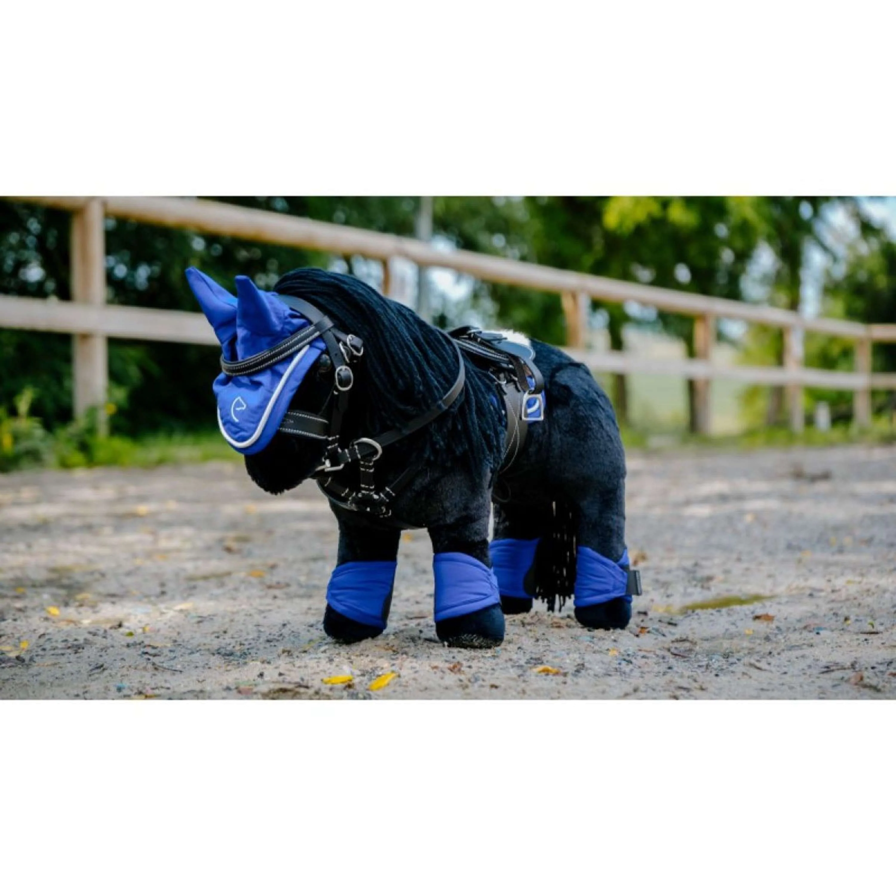 EQUITHÈME Pony Academy Gamaschen Königsblau - Image 3